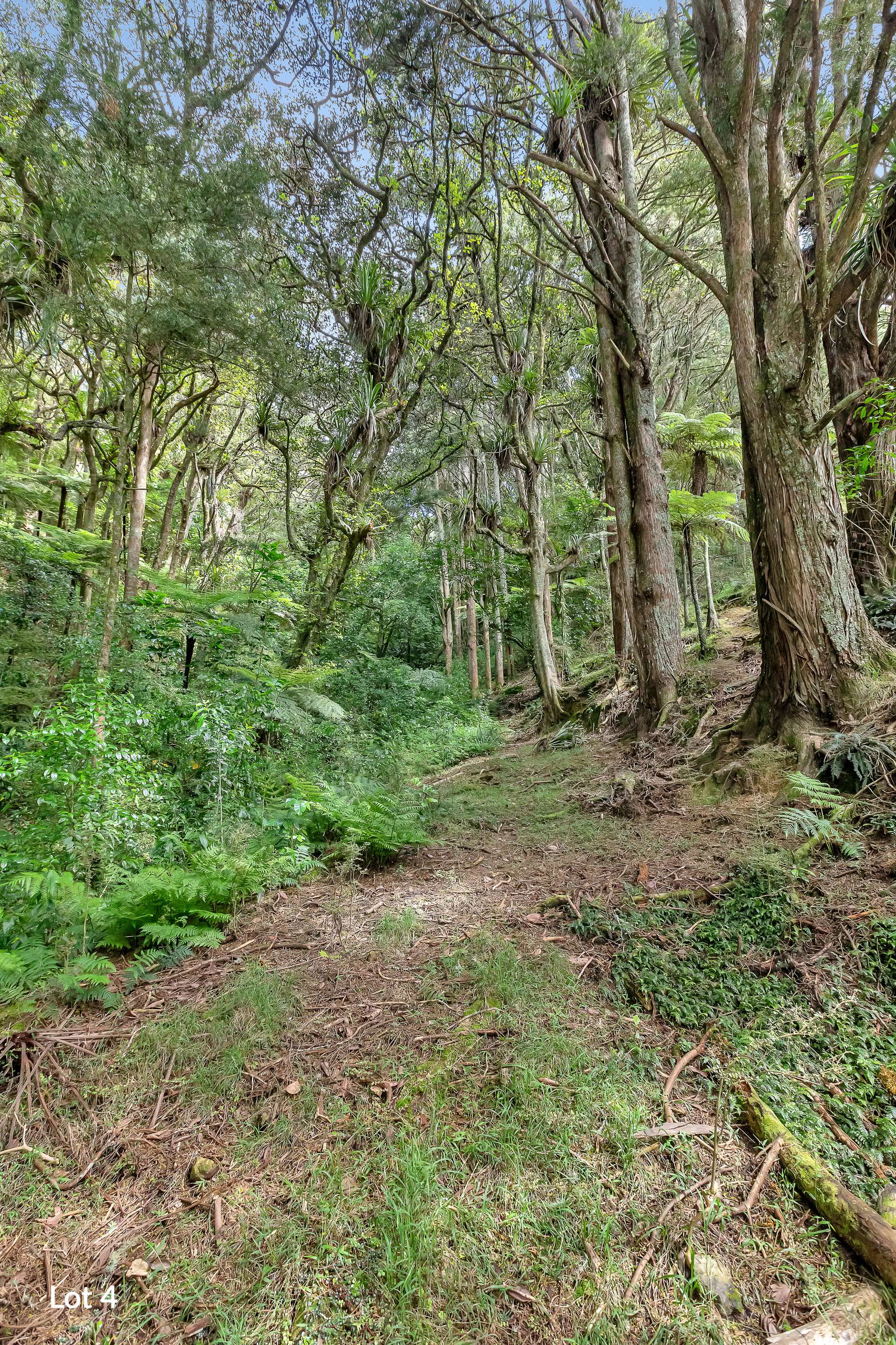 Lots 3 & 4 Whananaki North Road photo 11