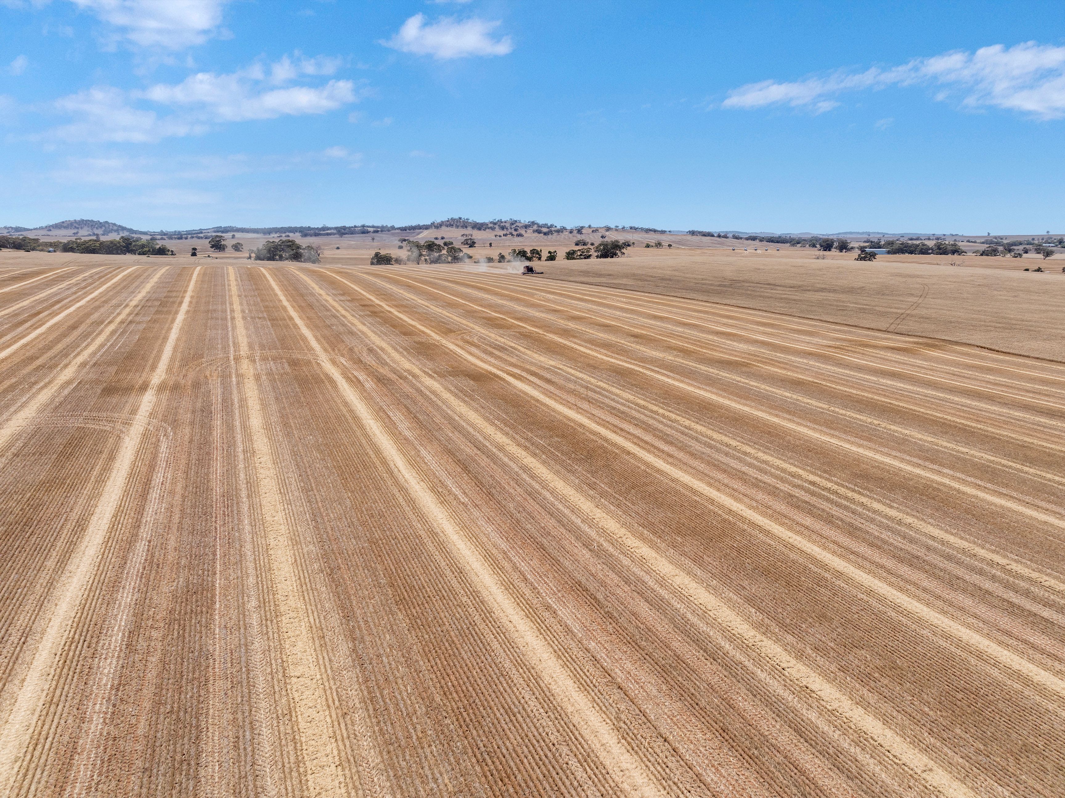 'Michaels' Saddleworth Road, Auburn, SA 5451