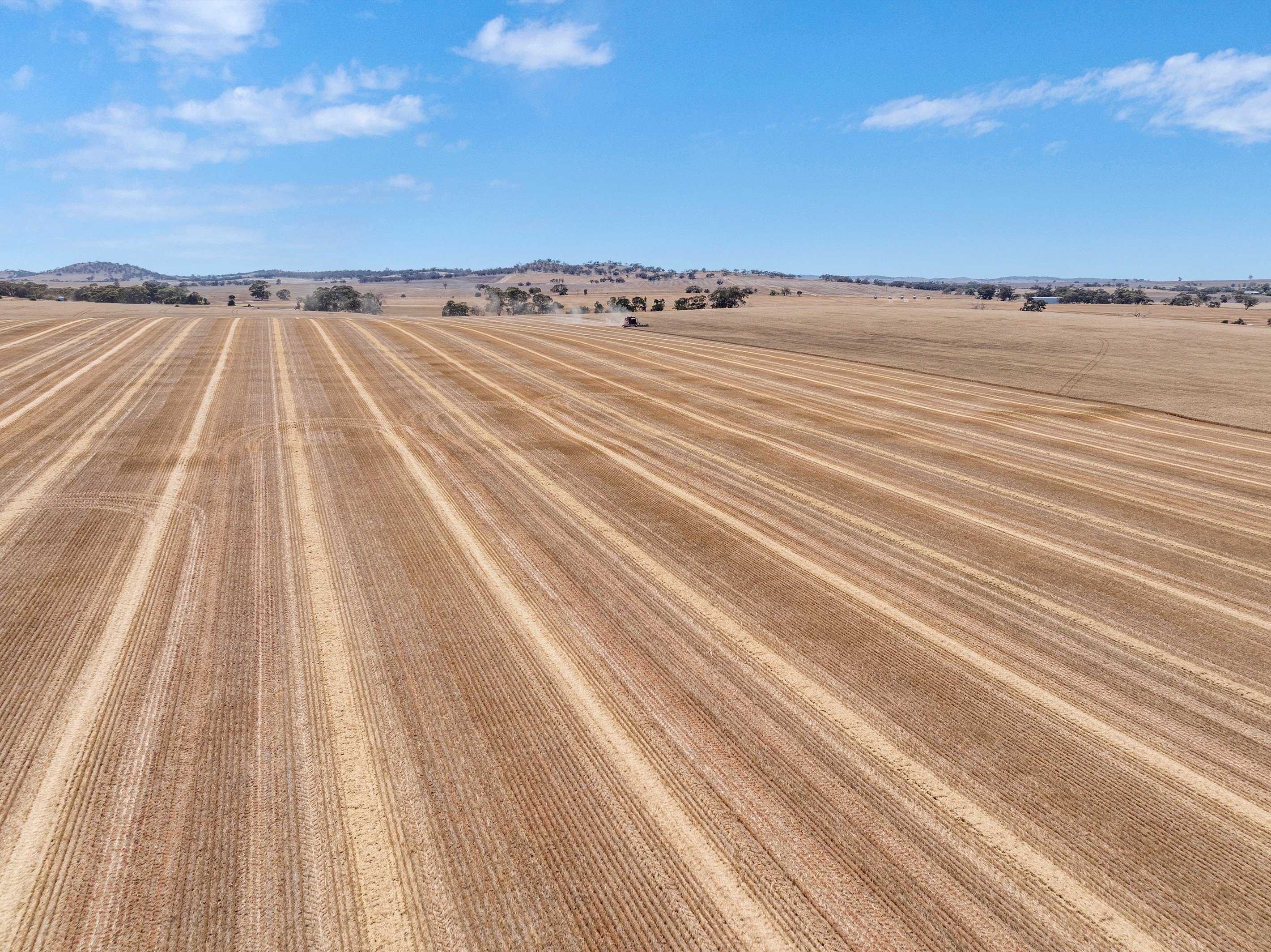 'Michaels' Saddleworth Road, Auburn, SA 5451