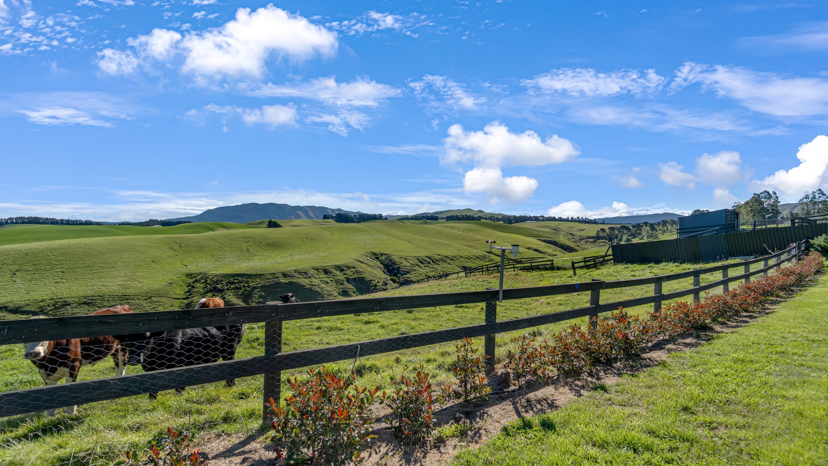 195 Mound Road, Broomfield, Hurunui District