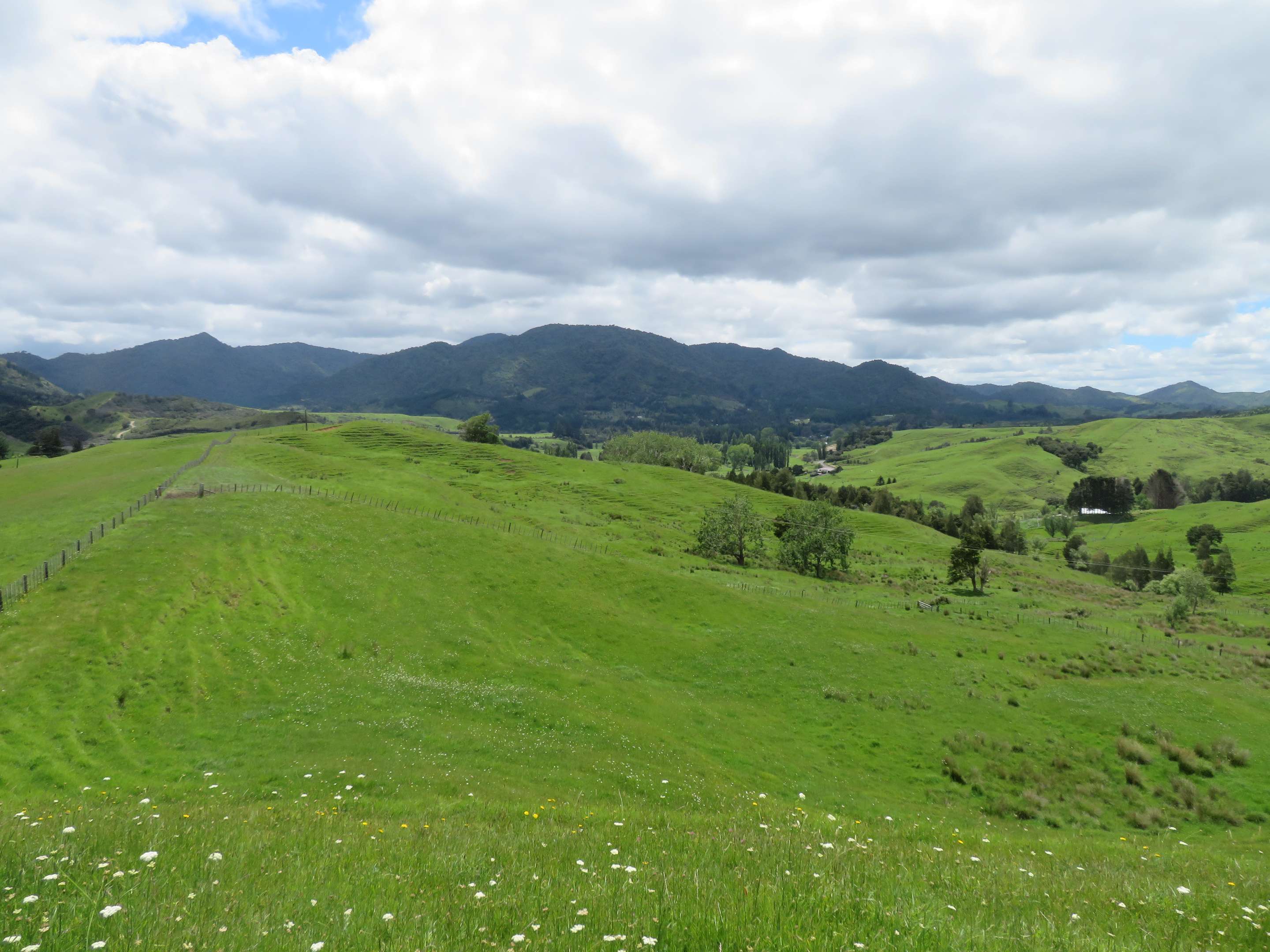 Lot 1 Broadwood Road, Broadwood, Far North District Real Estate Ray