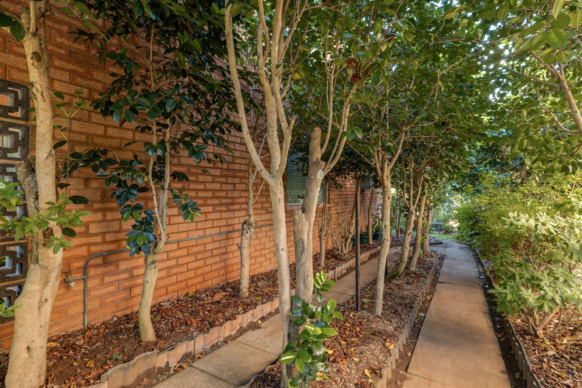 7 Anembo Court — photo 4 of 22