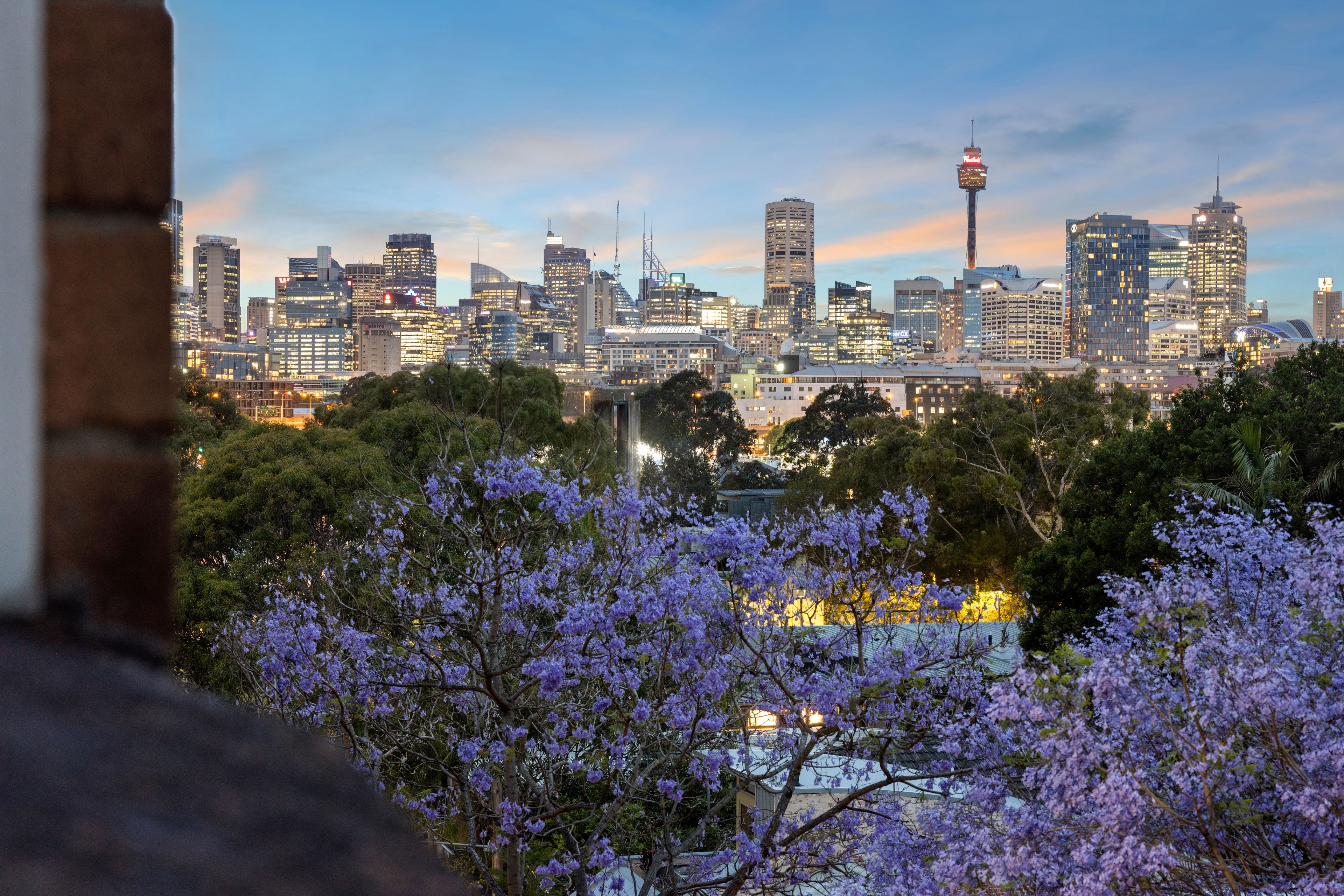 2-6 Sheehy Street, Glebe NSW 2037