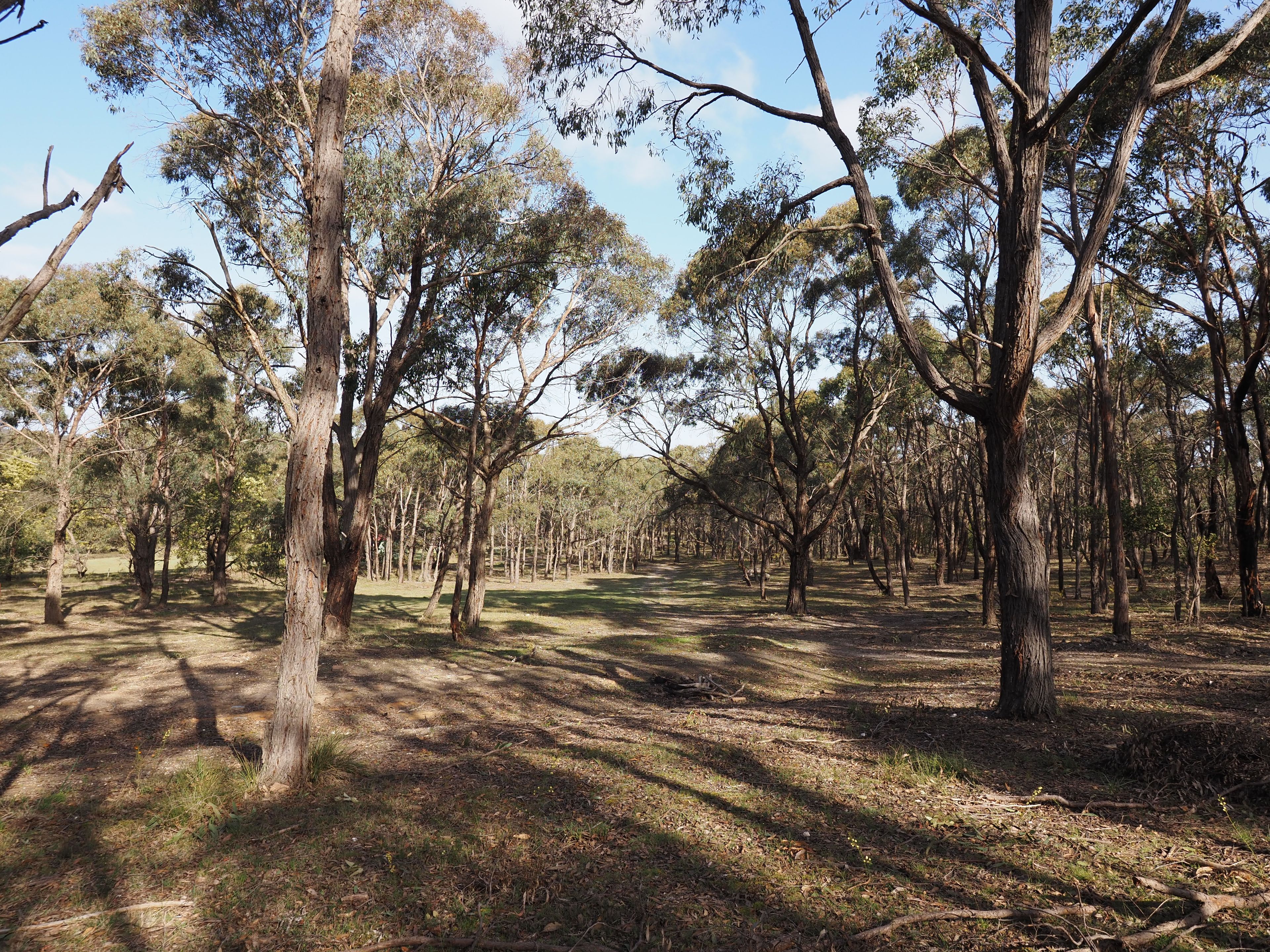 278 Old Shirley Road, Beaufort VIC 3373