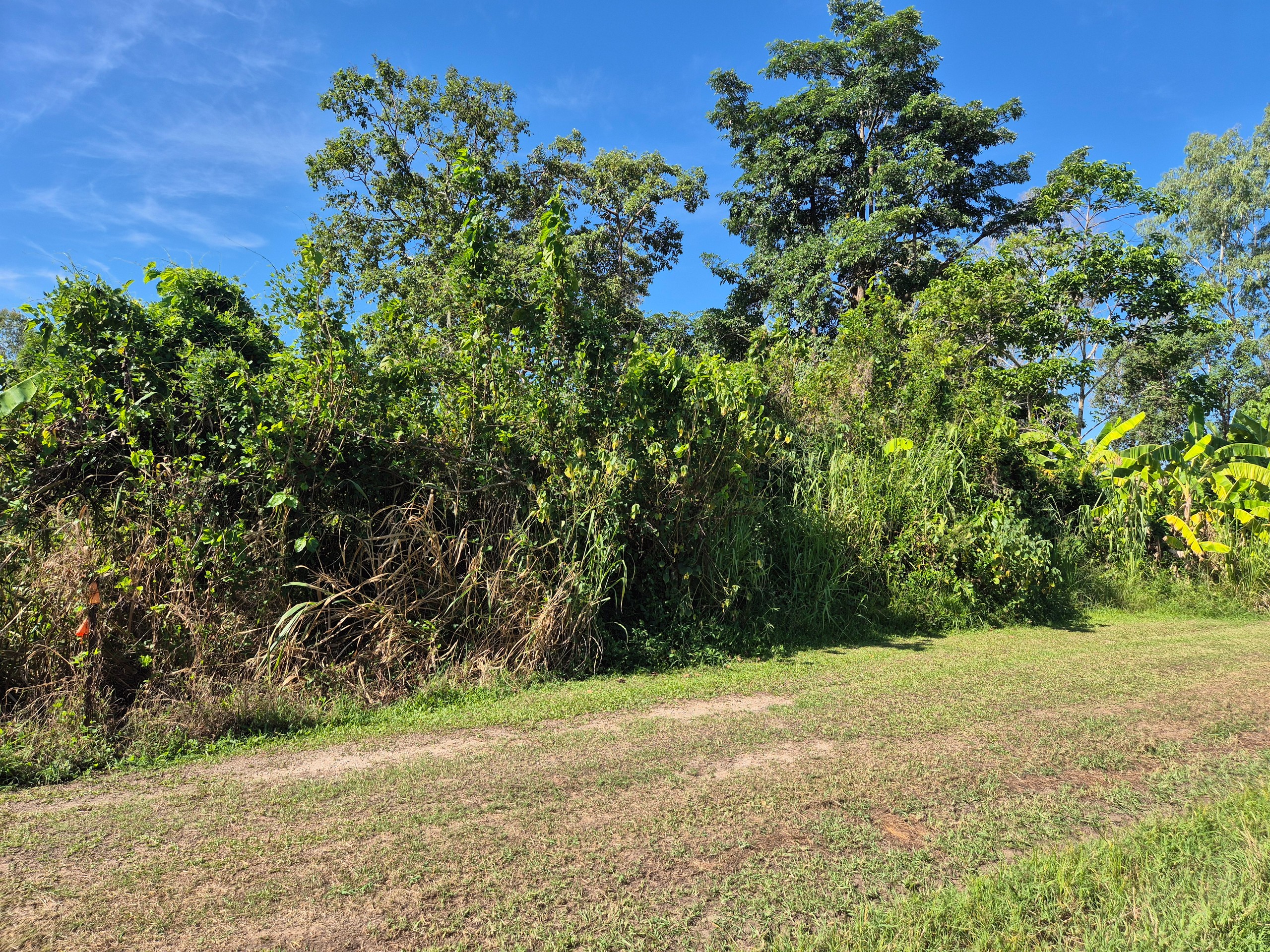 10 Turtle Street, Abergowrie, QLD 4850