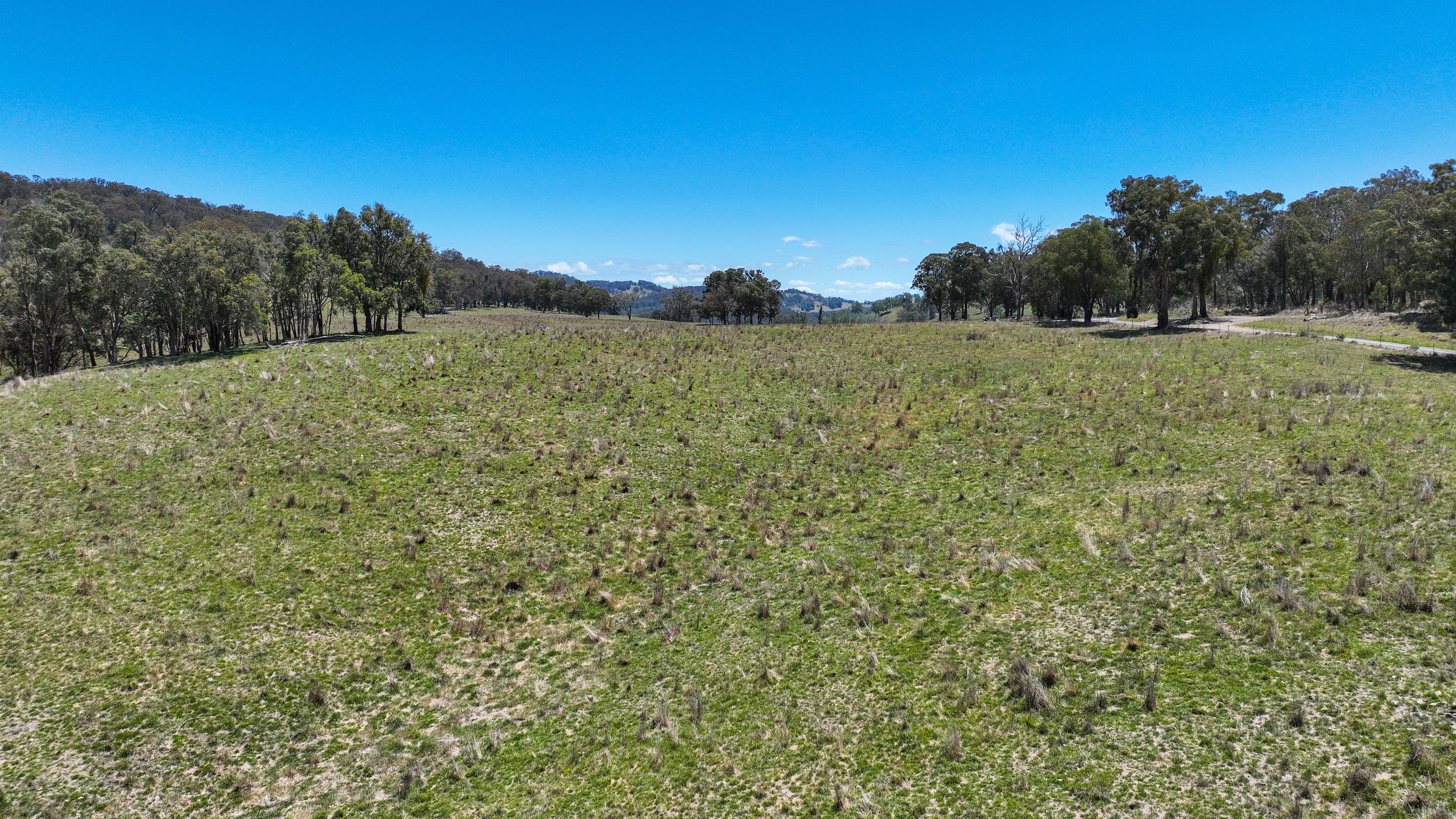 10 Nowendoc Road, Ogunbil, NSW 2340 Rural Property for Sale Ray