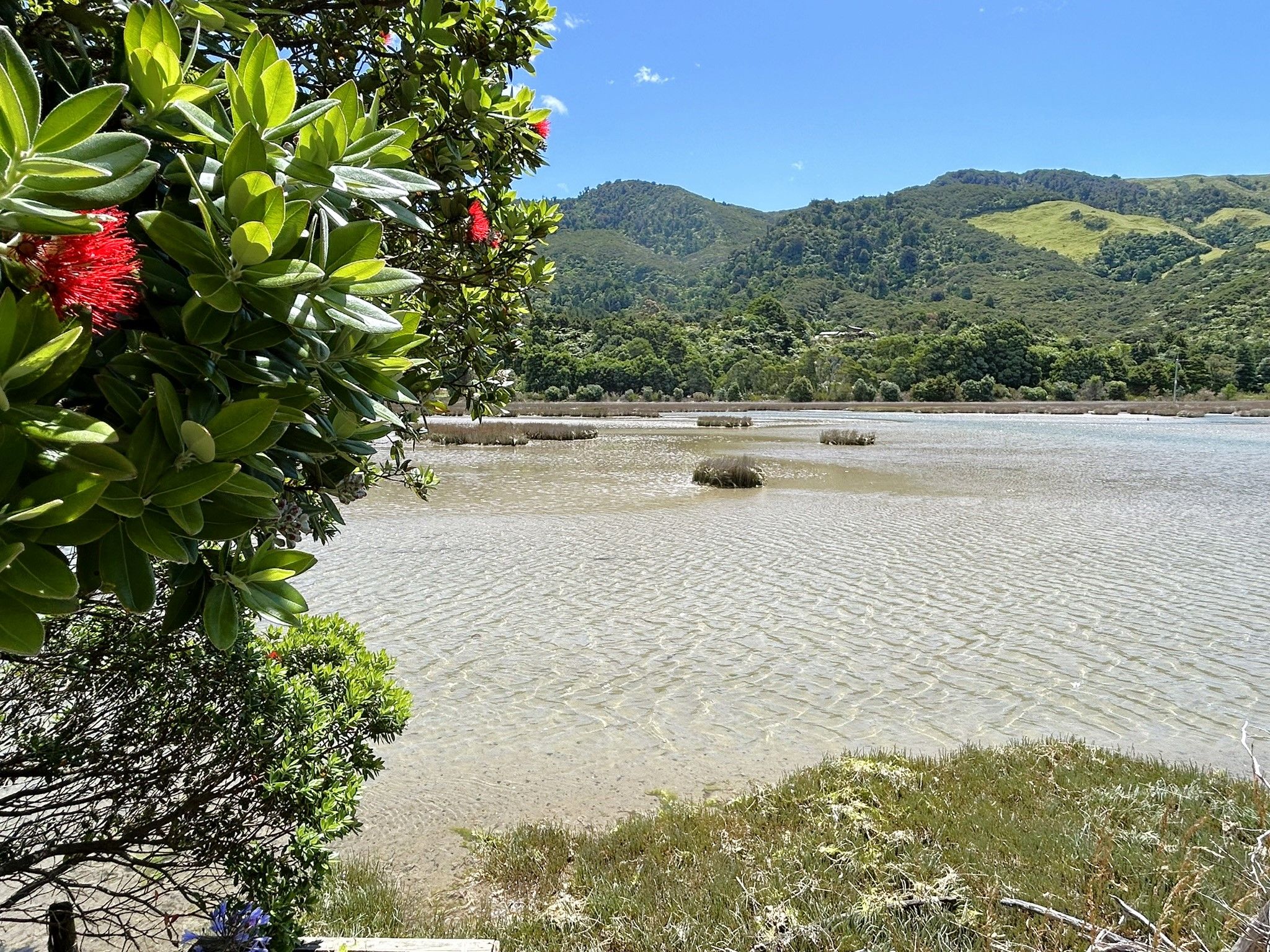 56 Totara Avenue, Collingwood, Tasman District