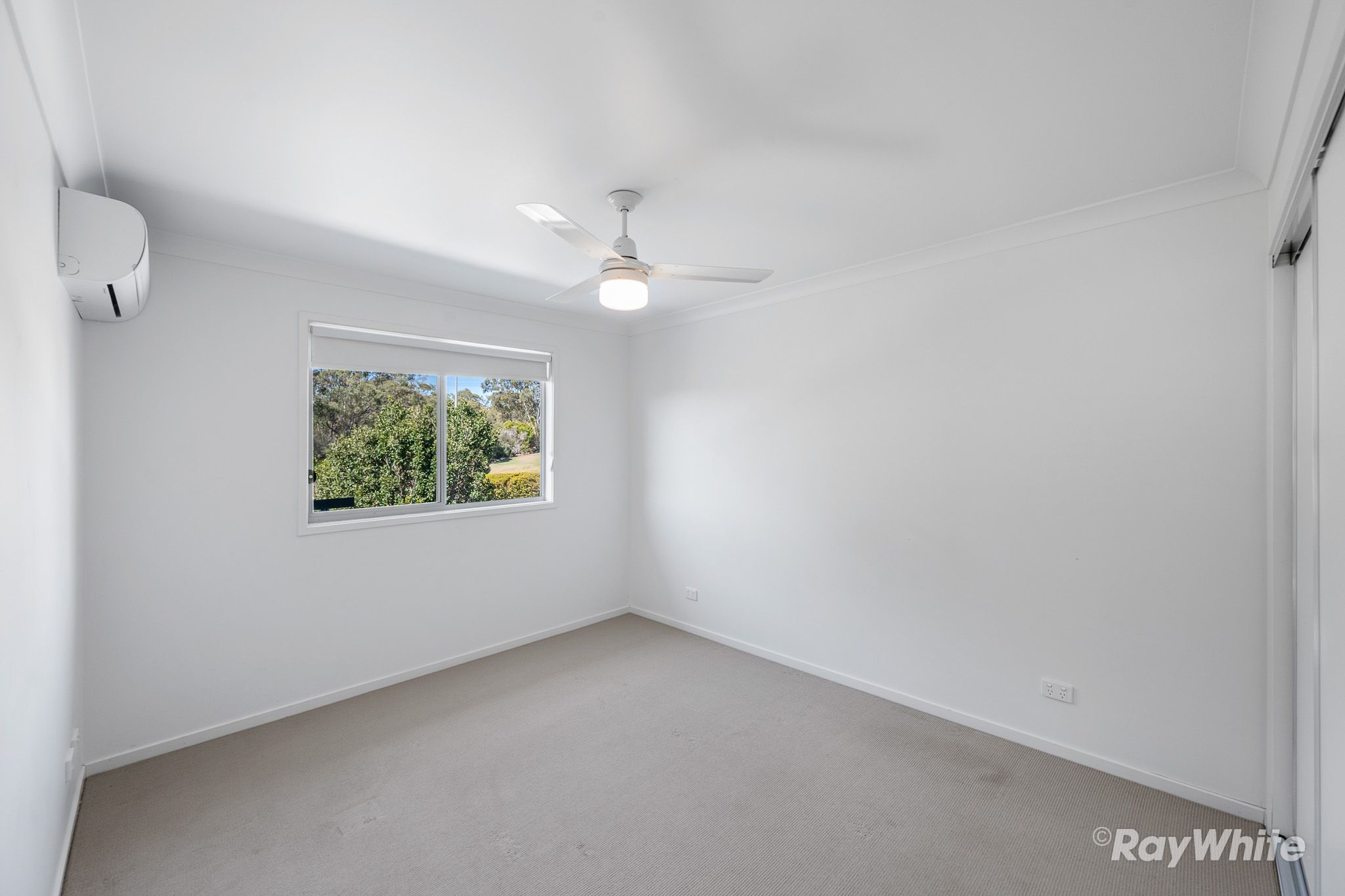 16/2 Beezley Street — photo 8 of 15