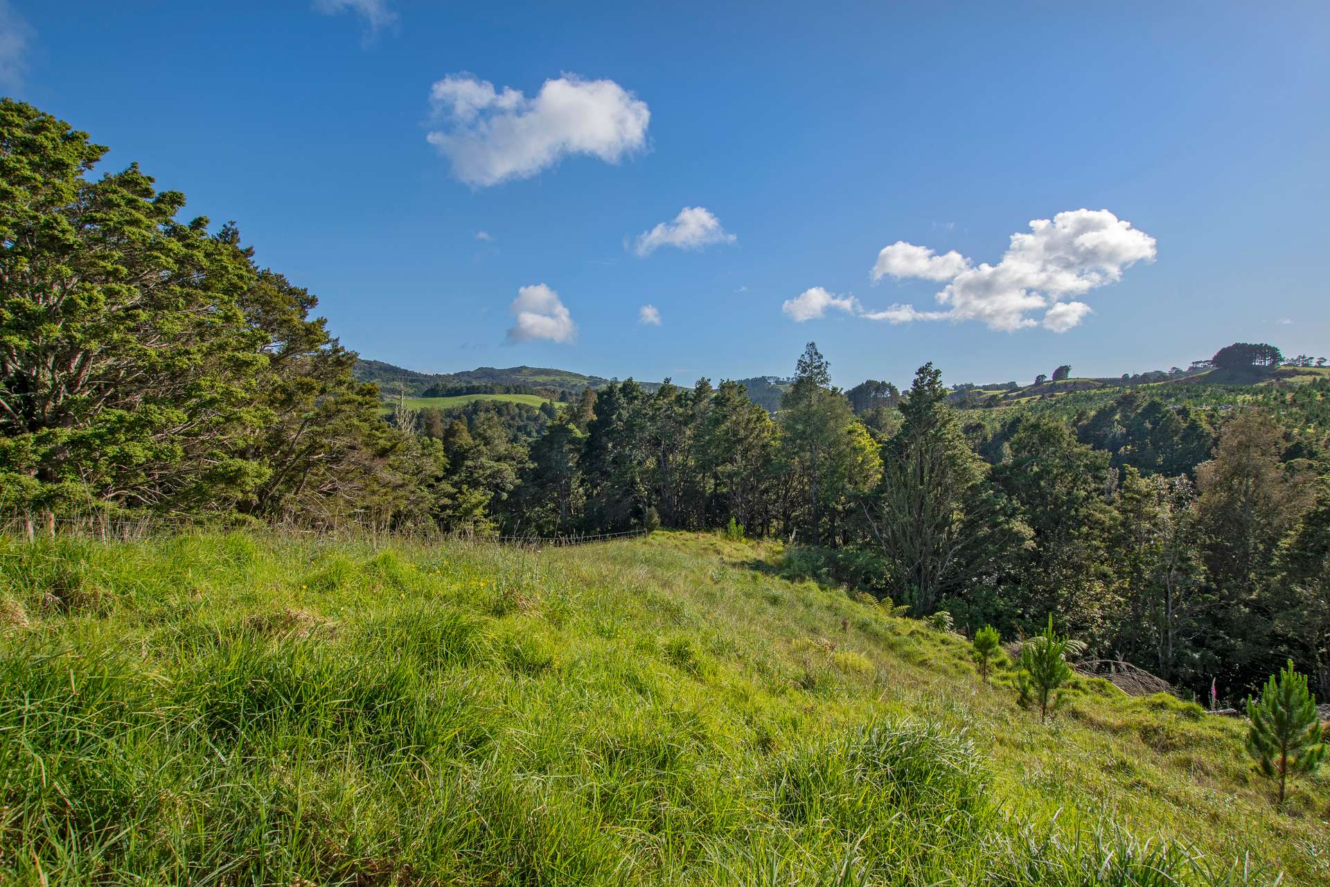 0 Russell Road Airstrip Block photo 29