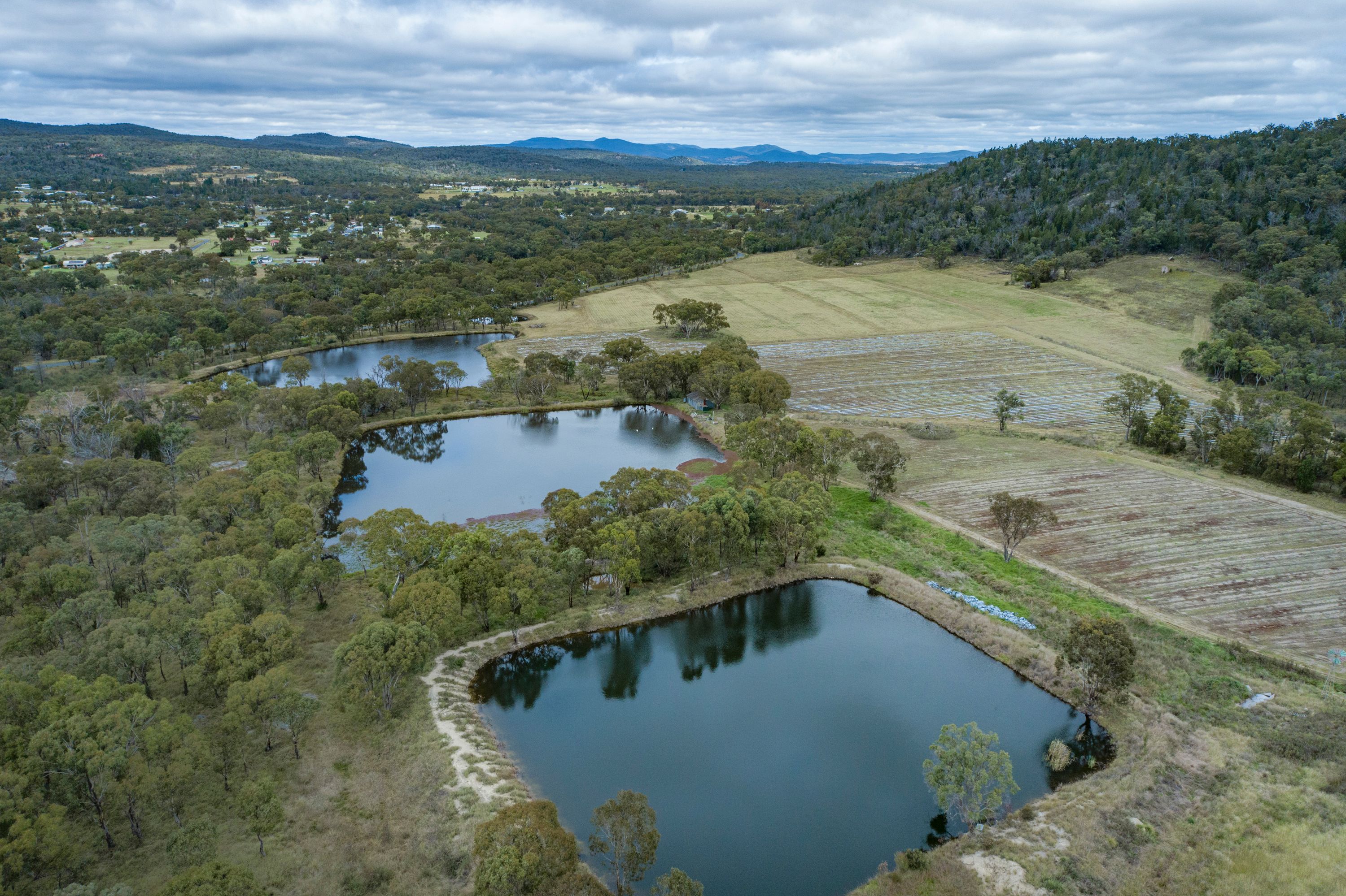 200 Collins Road, Glen Aplin, QLD 4381 Sold Rural Lifestyle Property