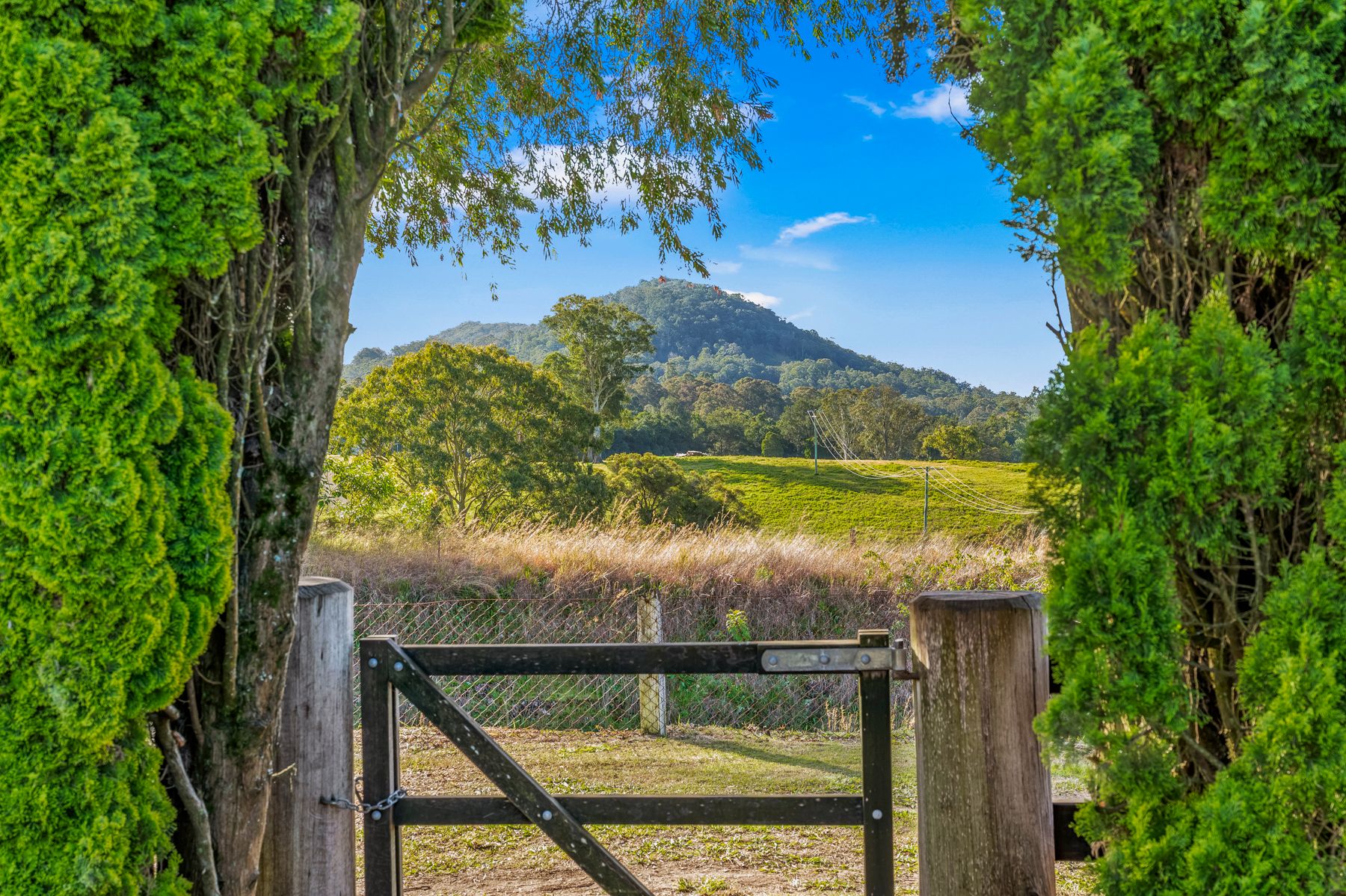 689 The Bucketts Way, Stroud Road, NSW 2415