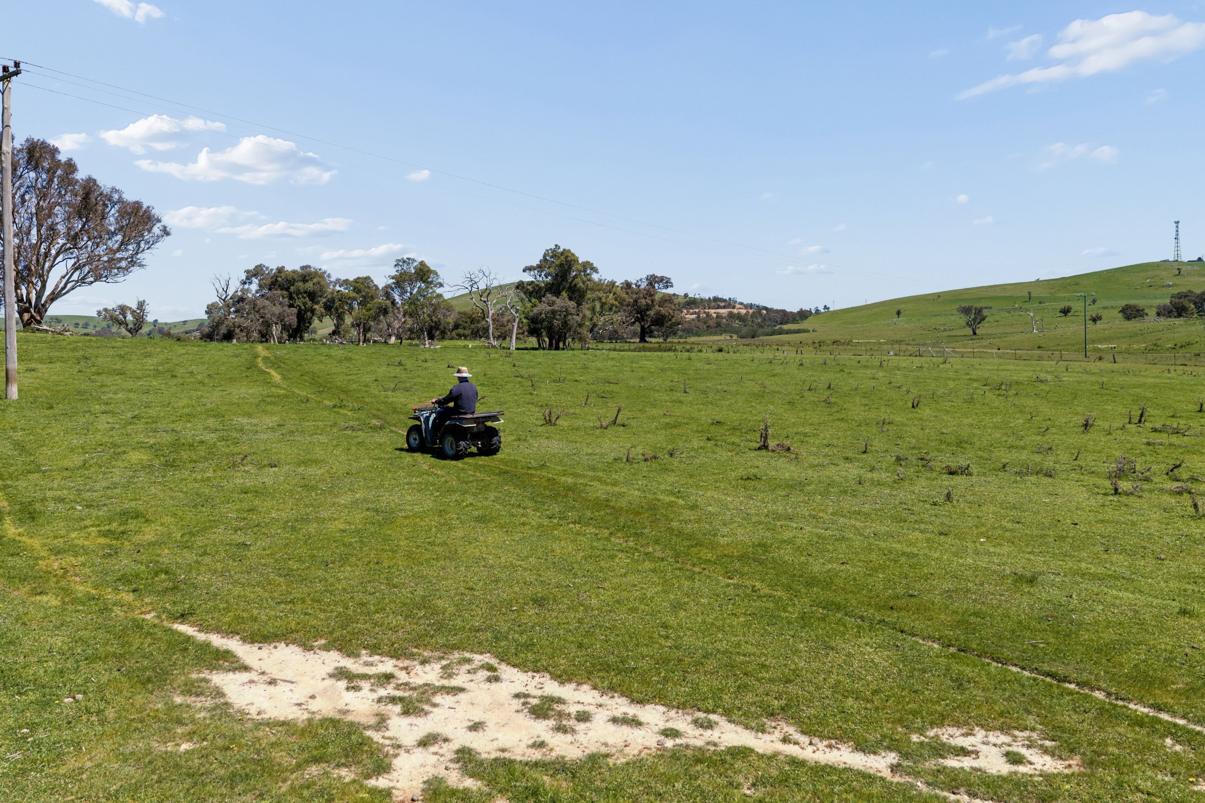 "Banjo's", 28238 Hume Highway — photo 18 of 26