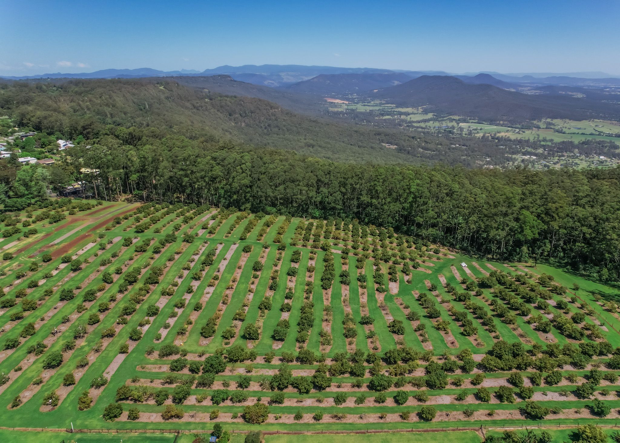 41-43 Manitzky Road, TAMBORINE MOUNTAIN QLD 4272