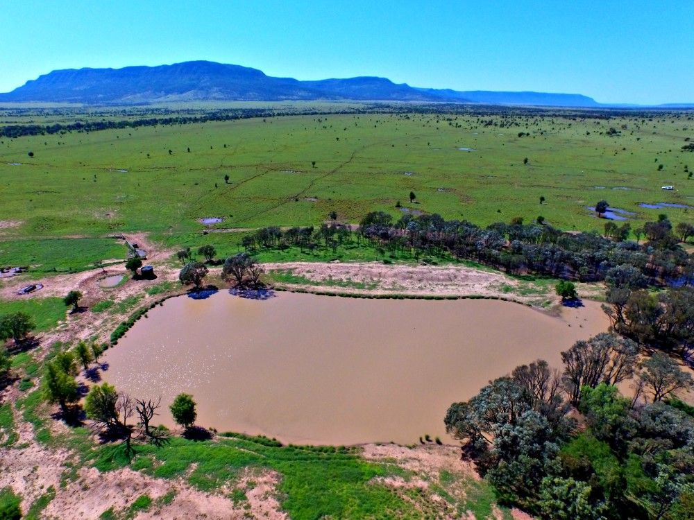 Blackwater, QLD Rural Rural Livestock Property Sold