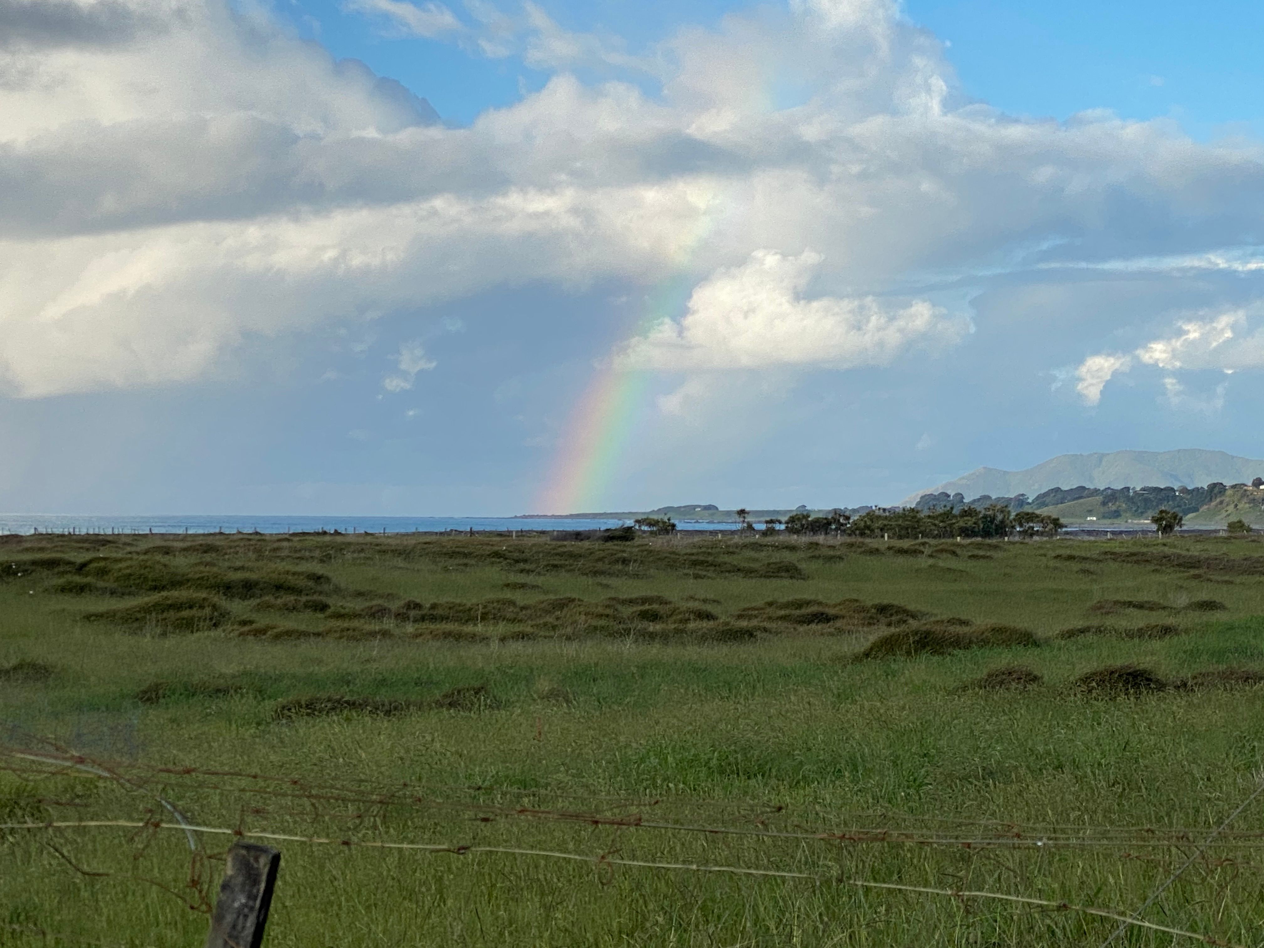 9215 State Highway 35, Waihau Bay, Opotiki District