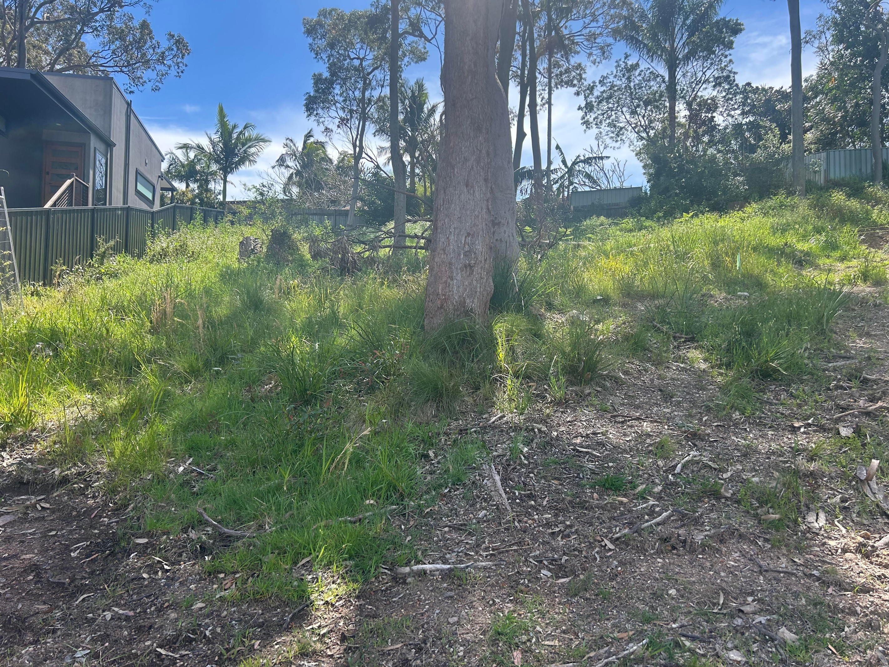 39a Raiss Close, Lemon Tree Passage, NSW 2319