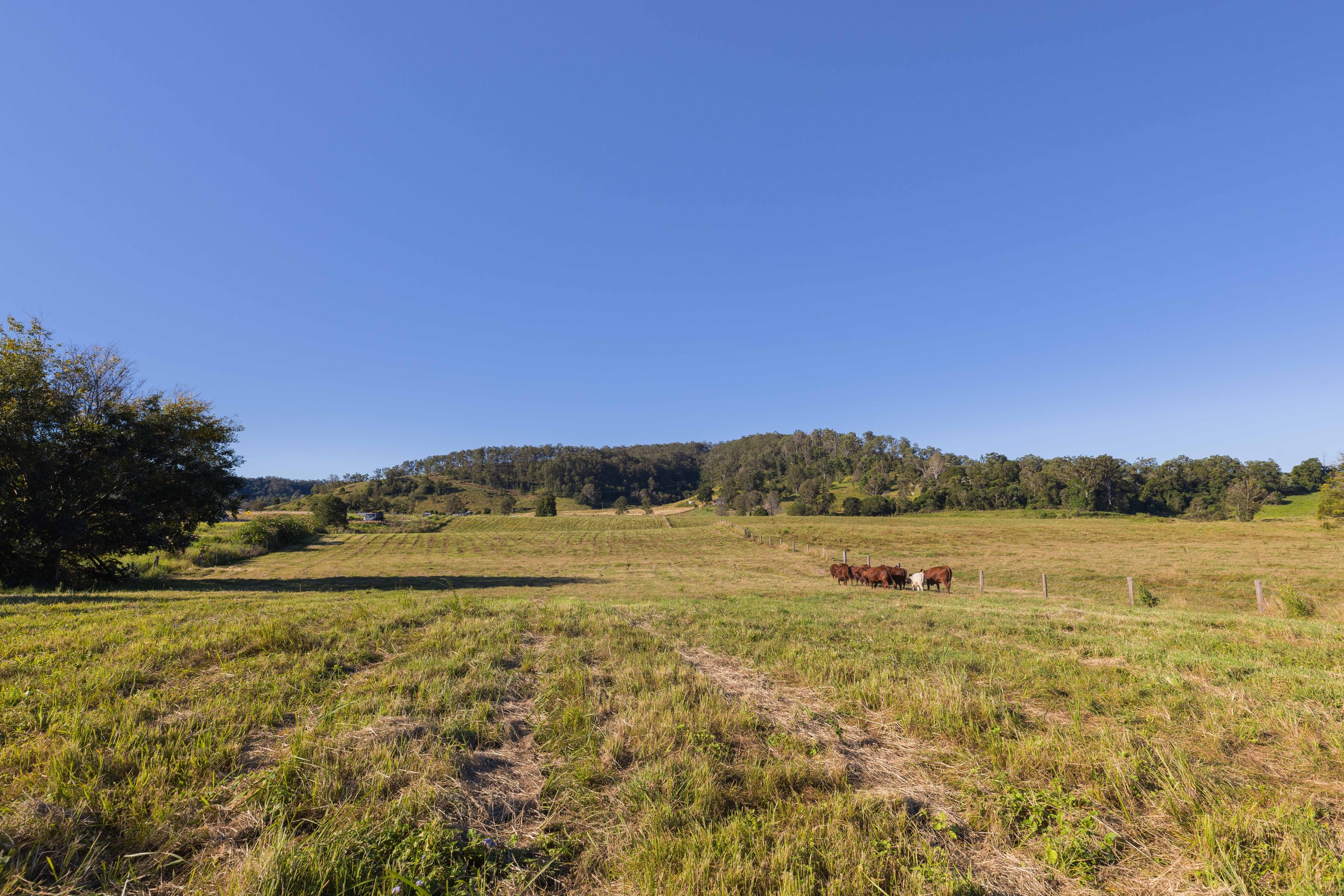 Lot 1 1197 Kenilworth Skyring Creek Road, Tuchekoi, QLD 4570