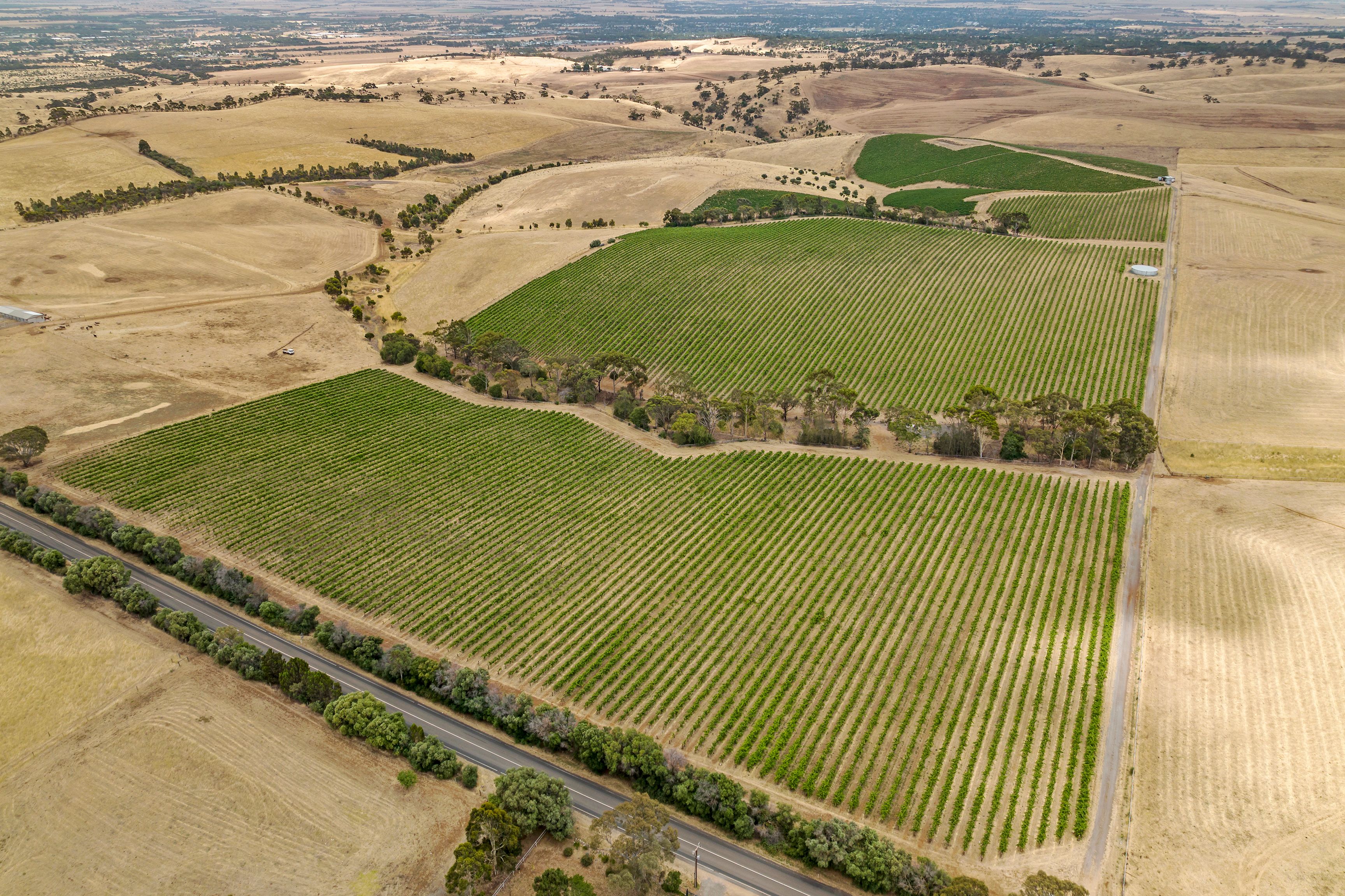'Trimboli's' Medlow Road, Uleybury, SA 5114 Sold Rural Viticulture Property Ray White Rural