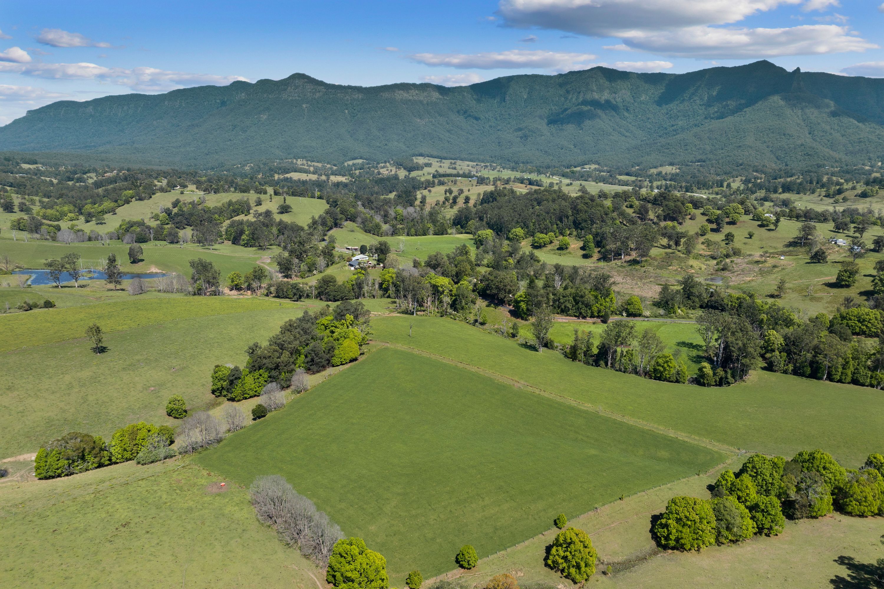 703 Brays Creek Road, Brays Creek, NSW 2484