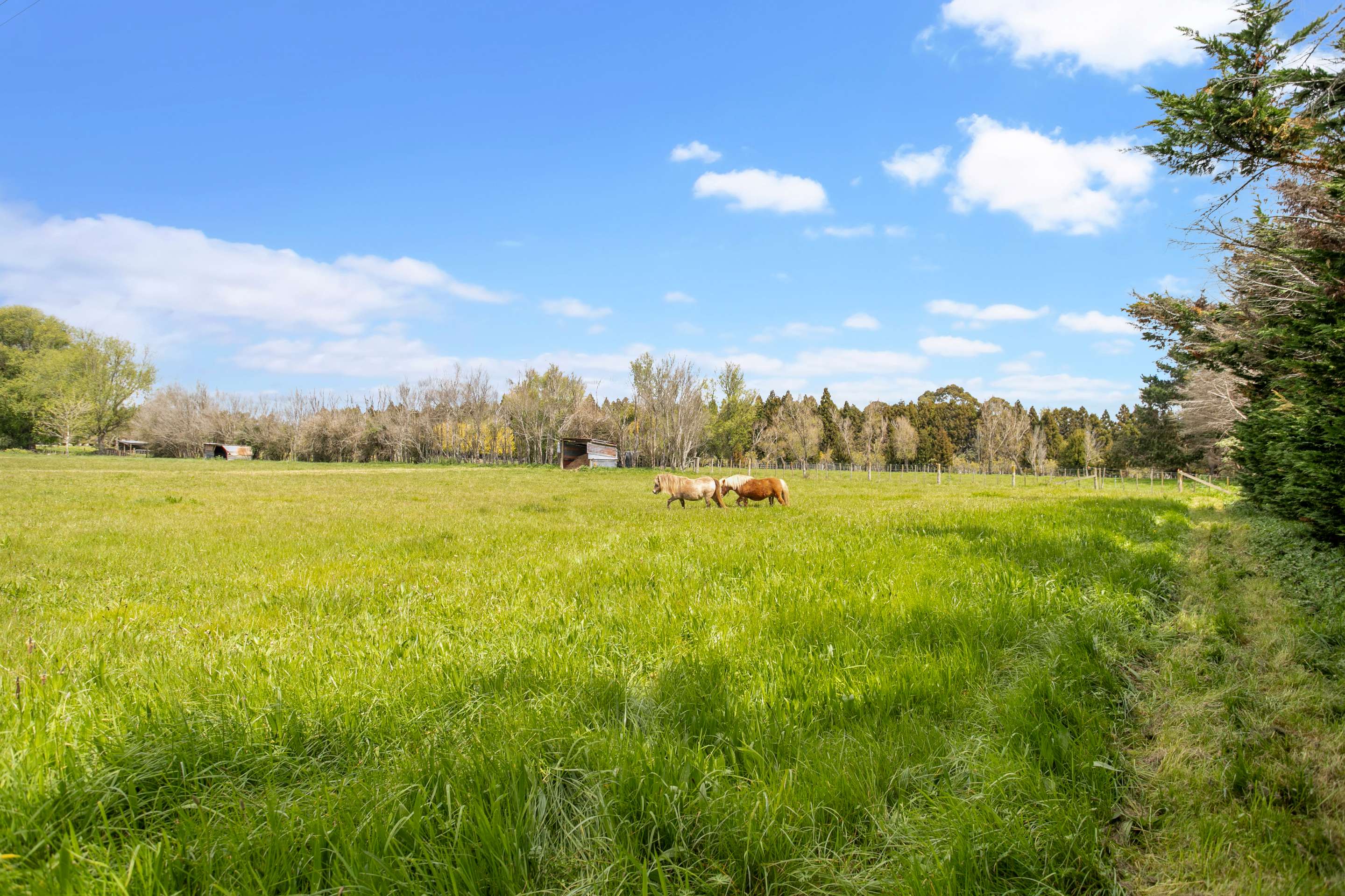 141 Park Estate Road, Papakura, Papakura Real Estate Ray White New