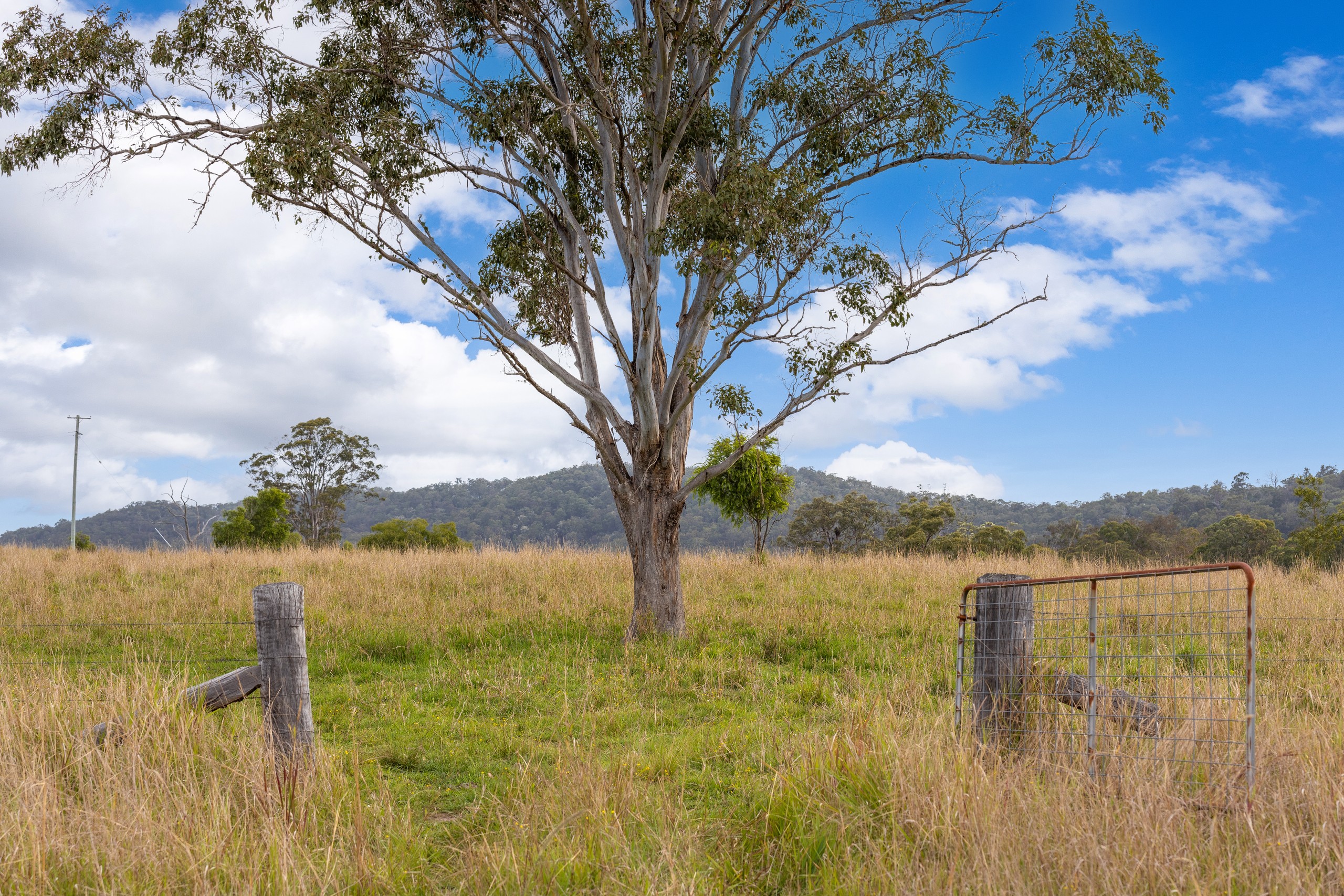 179 Norries Road, Bunyah, NSW 2429