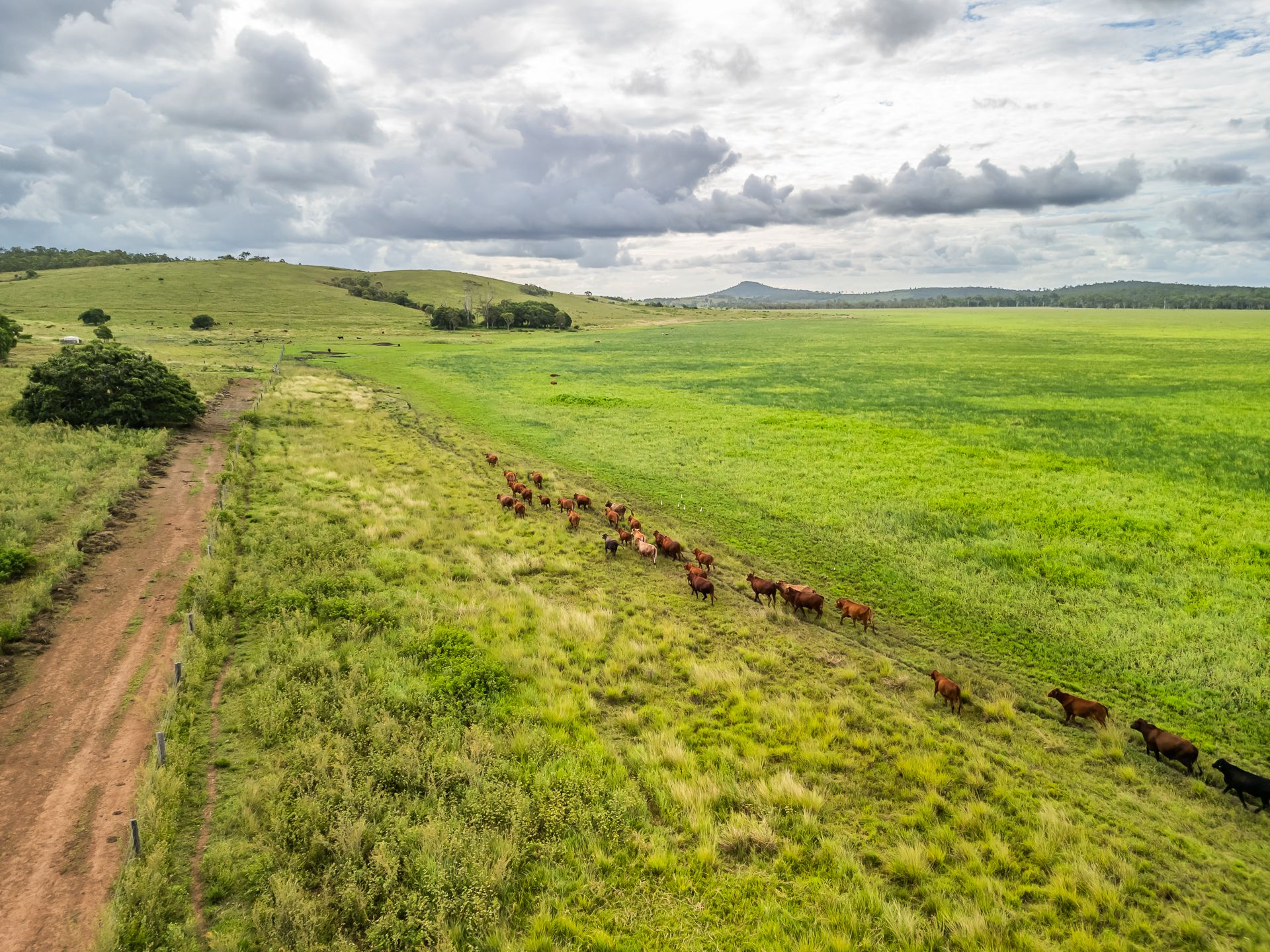 100 Serpentine Road, Lake Mary, QLD 4703