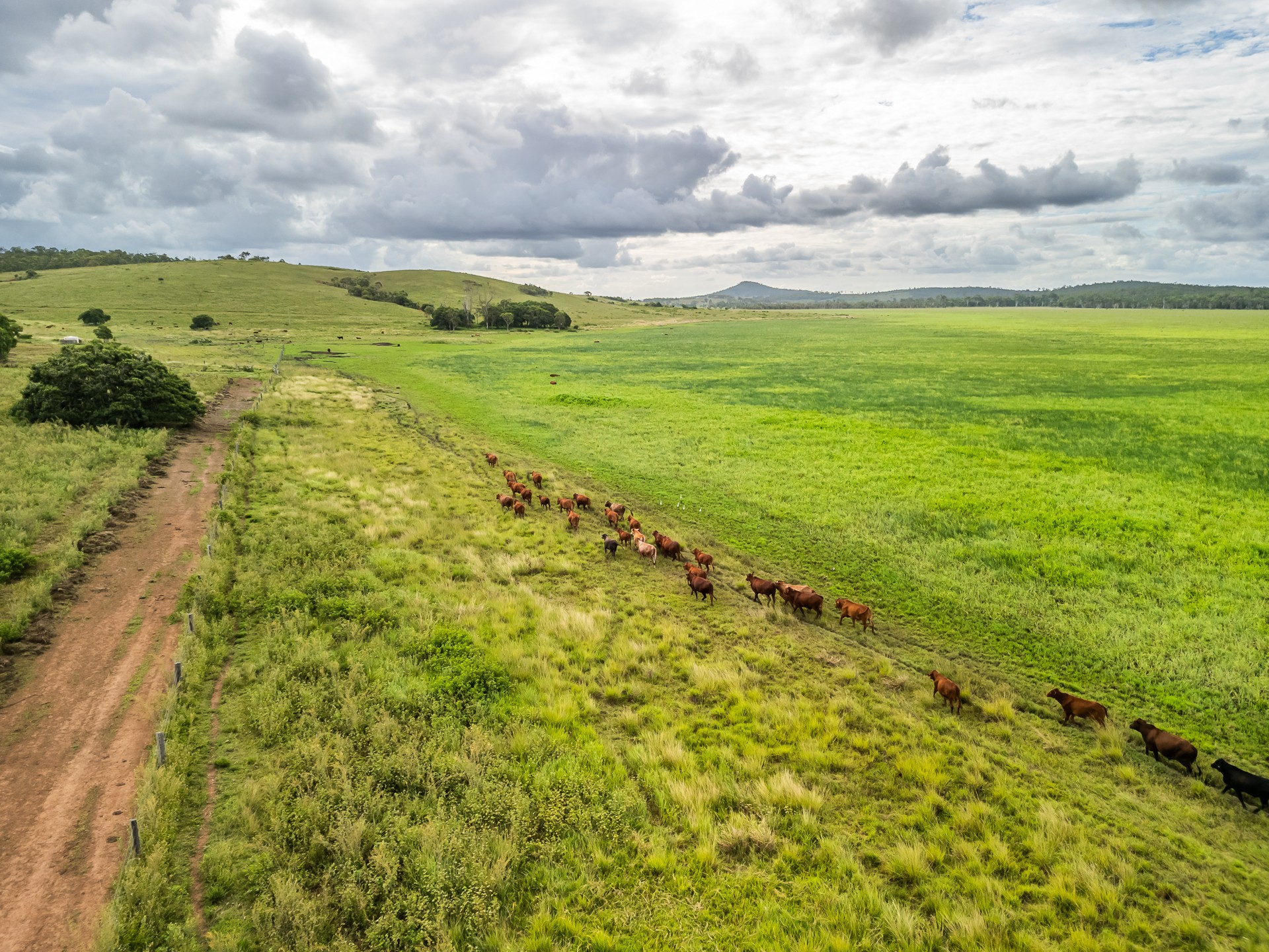 100 Serpentine Road, Lake Mary, QLD 4703