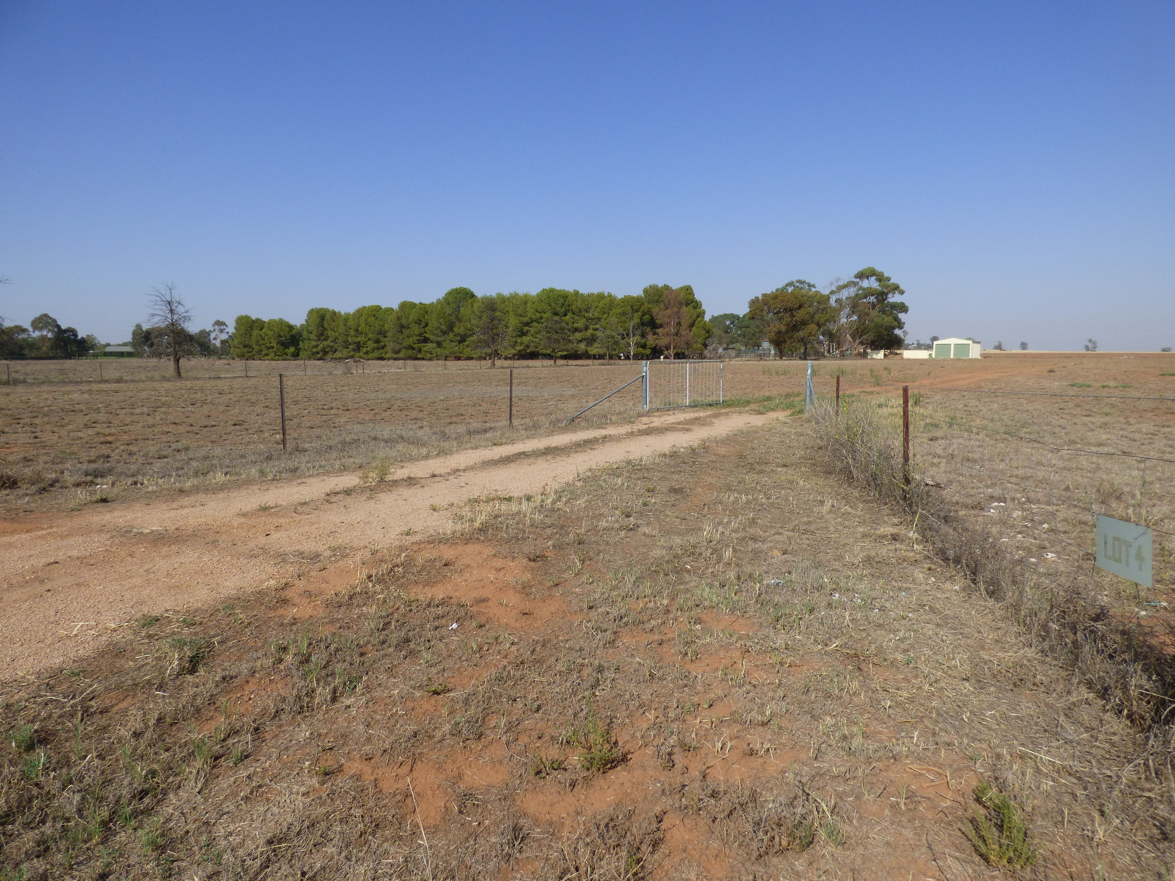 Lot 4 Calarie Road, Forbes, NSW 2871