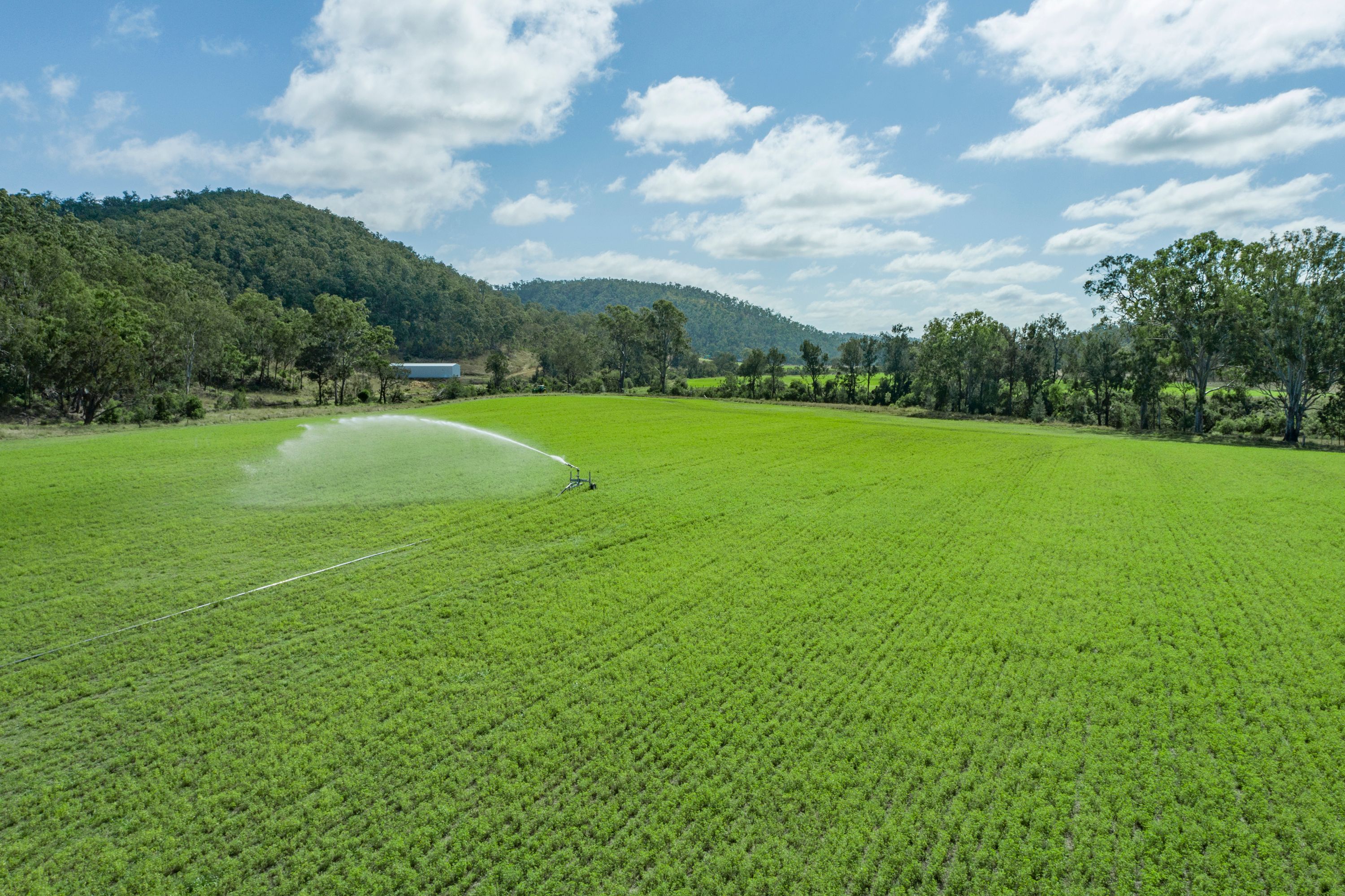 'Tarcoola' Ettrickdale Road, Booubyjan, Goomeri, QLD 4601 Rural Mixed