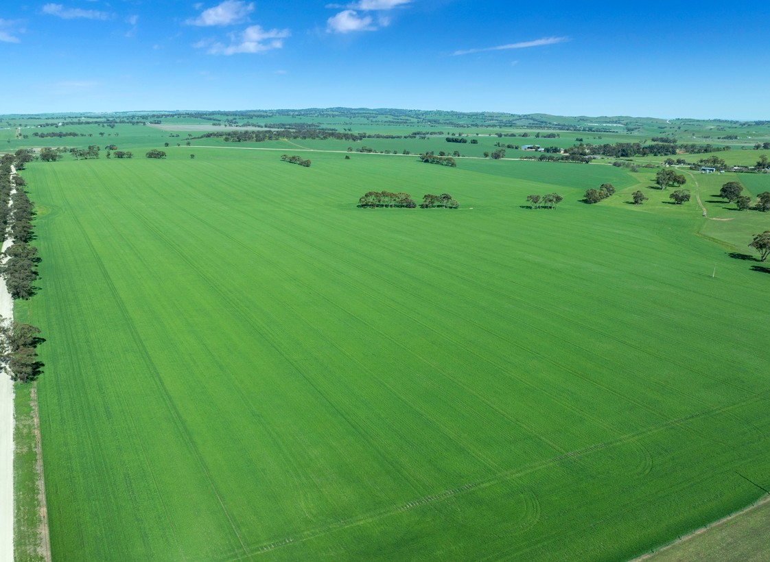 'Mitchell's' Slape Road, Riverton, SA 5412