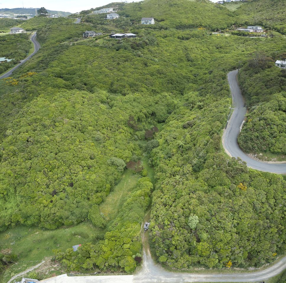 184 Glanmire Road, Newlands, Wellington City