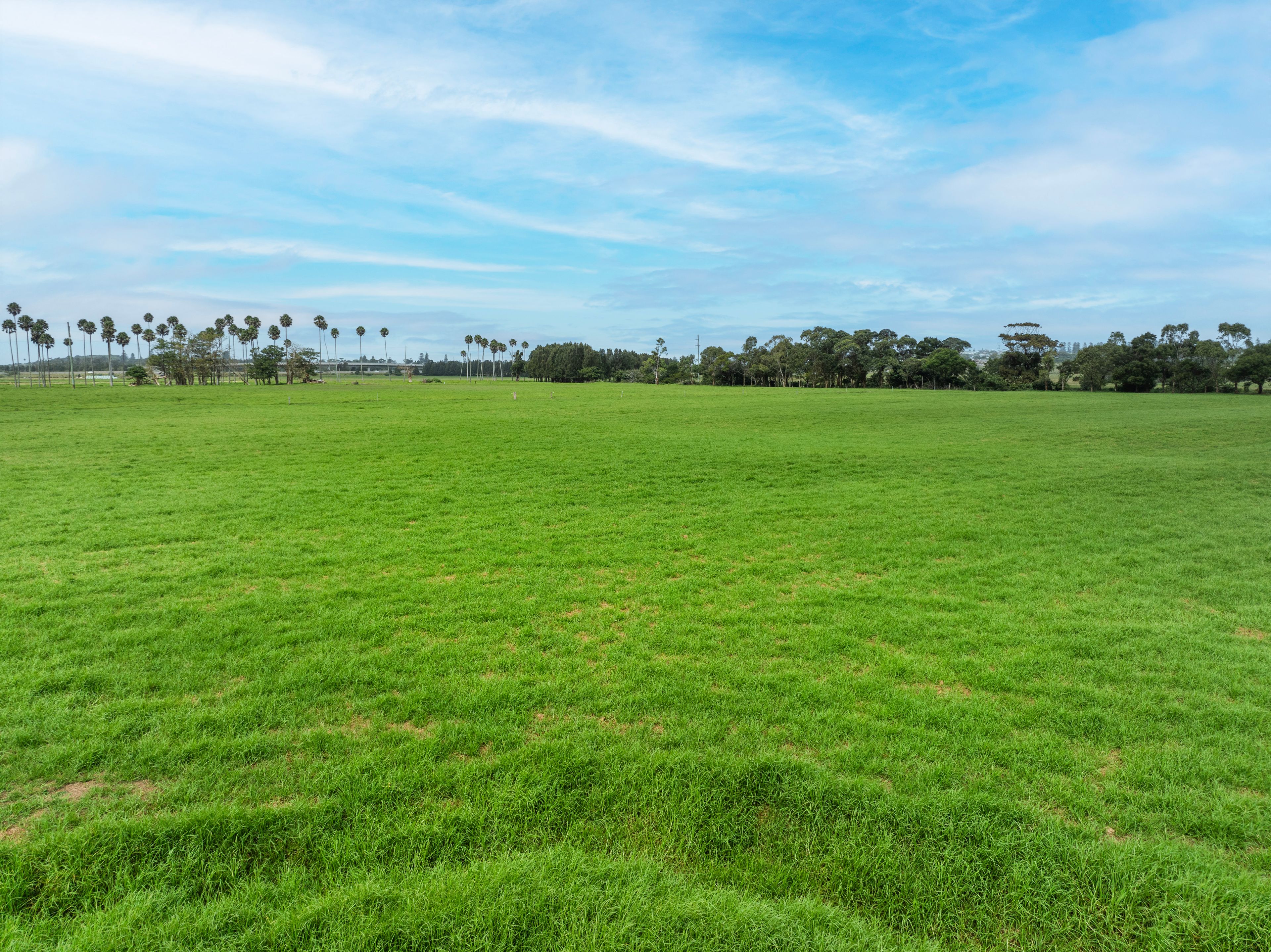'Alne Bank' 129 Rose Valley Road — photo 19 of 24