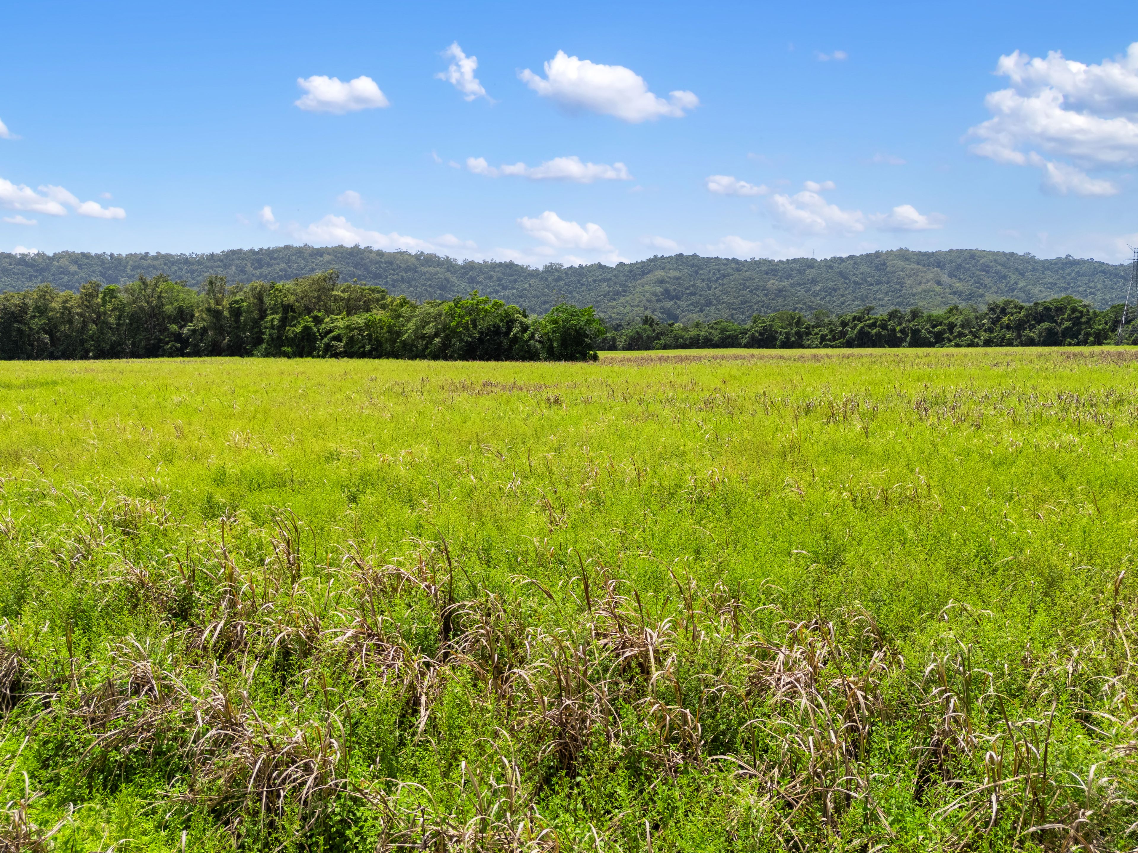 CASSOWARY ESTATE - Affordable lifestyle acreage lots — photo 21 of 23