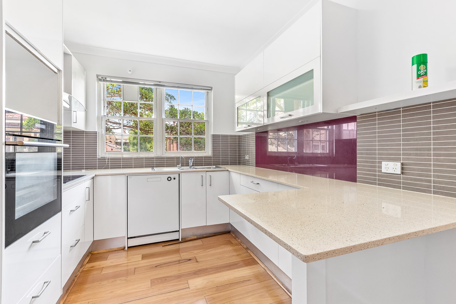 5/12 Julia Street, Ashfield, NSW 2131