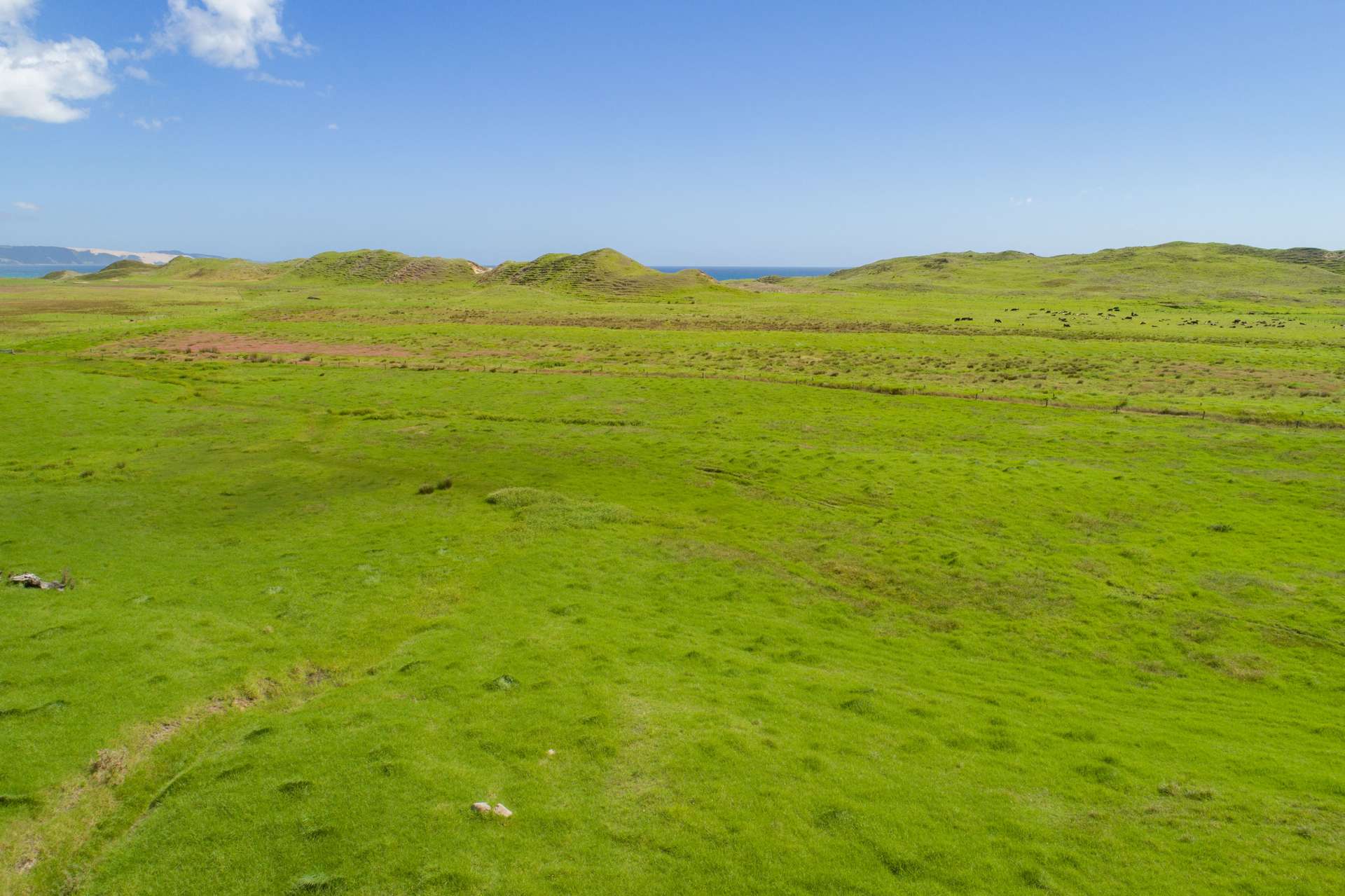 Ahipara  Far North District  0481 photo 3