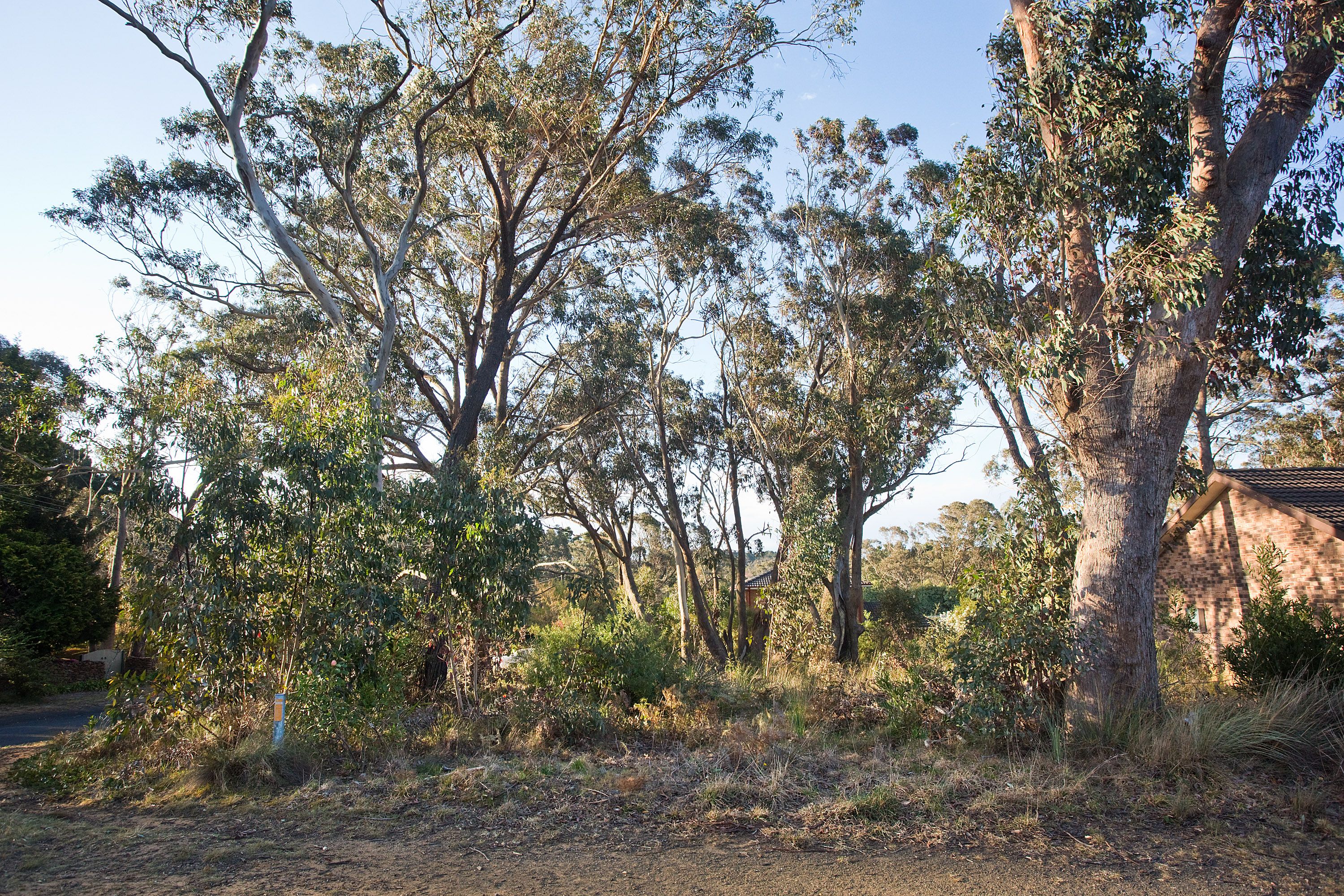 116 Evans Lookout Road, Blackheath, NSW 2785