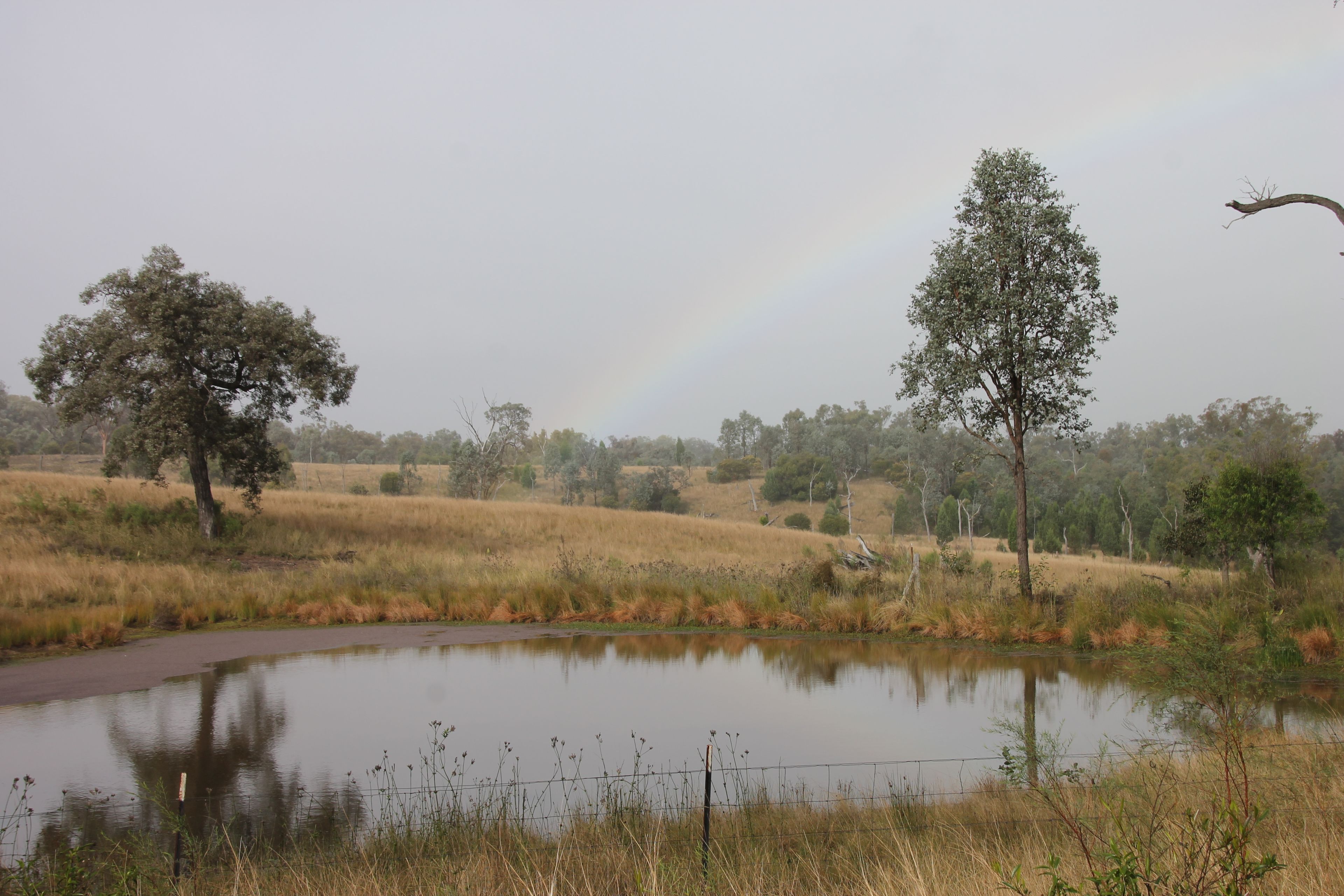 0 Texas Road — photo 17 of 30