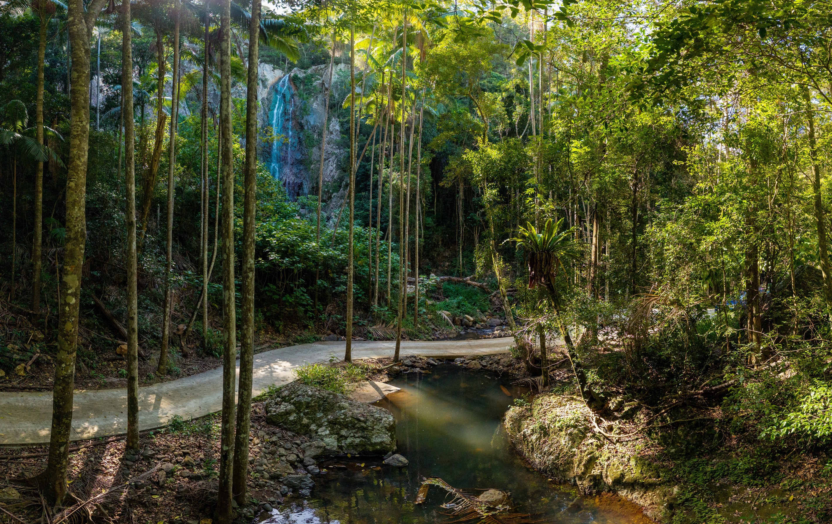 196-276 Kaiser Road, Tamborine Mountain, QLD 4272