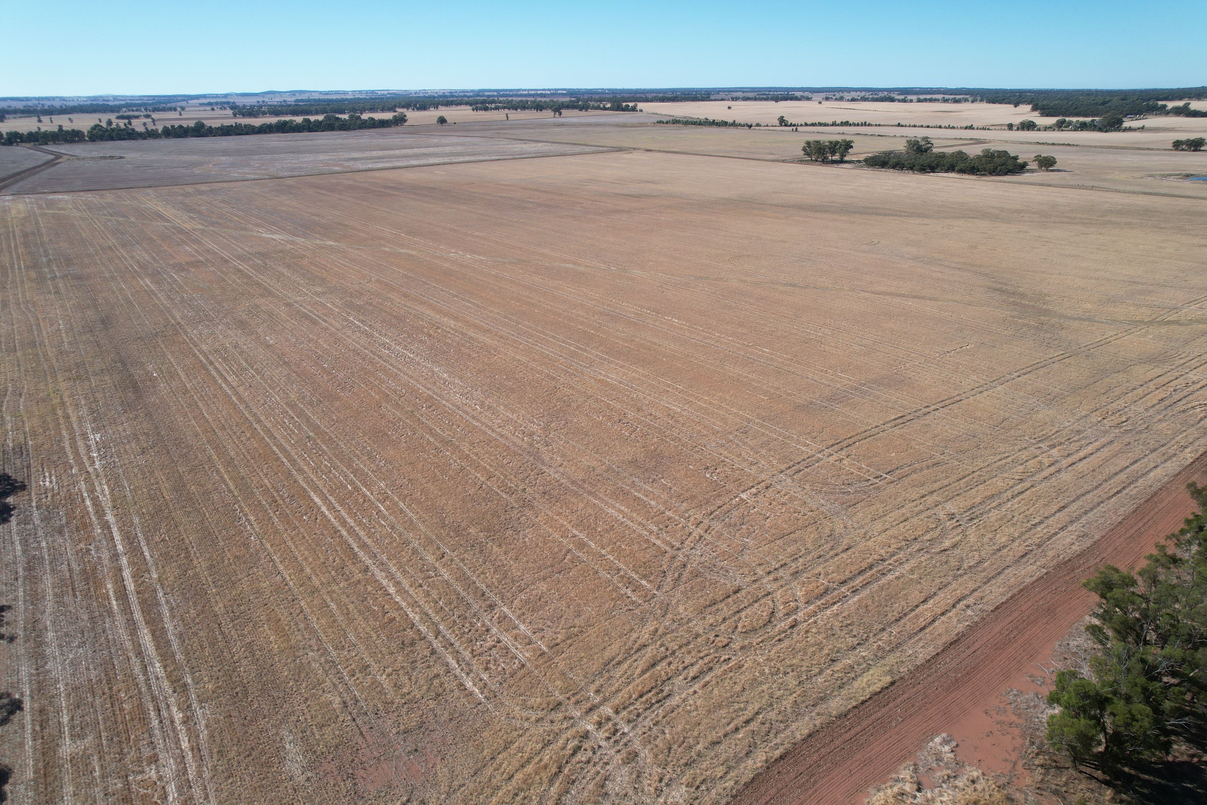 2417 Alleena Road, West Wyalong, NSW 2671
