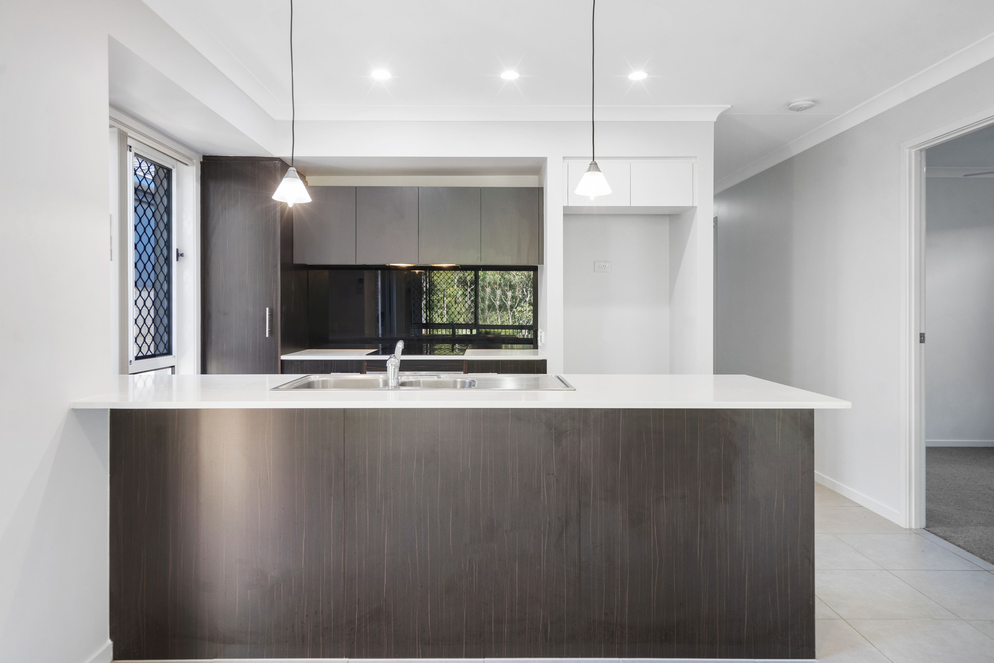 20 Chamomile Street, Springfield Lakes, QLD 4300