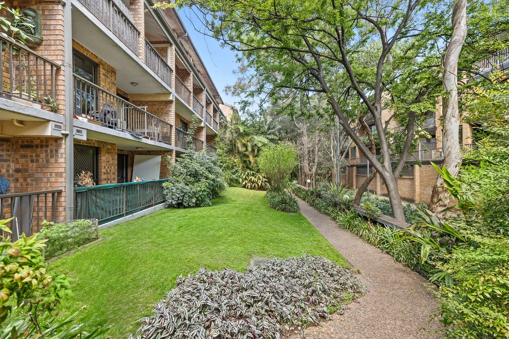 111/313-369 Harris Street, Pyrmont, NSW 2009