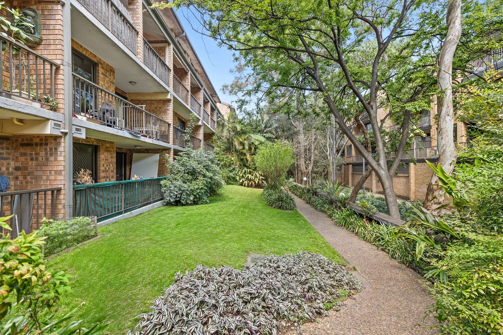 111/313-369 Harris Street, Pyrmont, NSW 2009