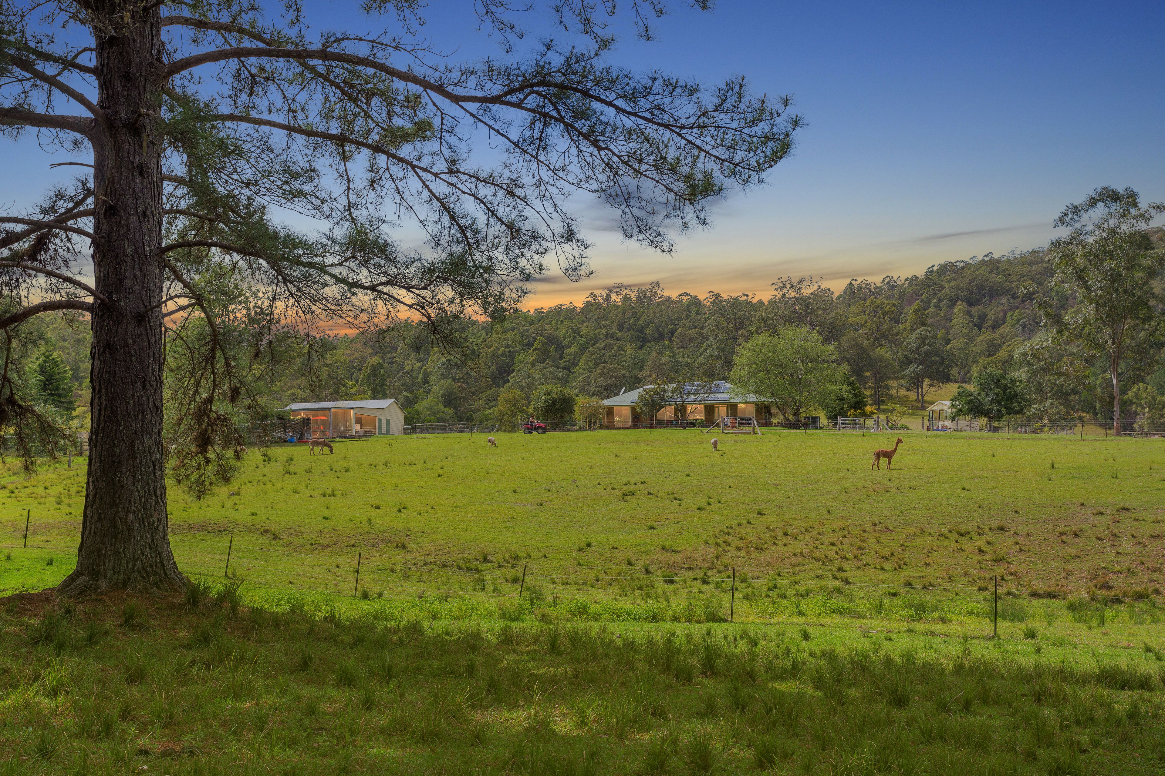 278 Bobin Creek Road, WINGHAM, NSW 2429