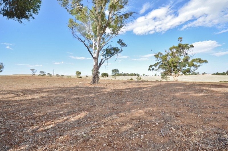 101 Kingston Terrace, Auburn, SA 5451