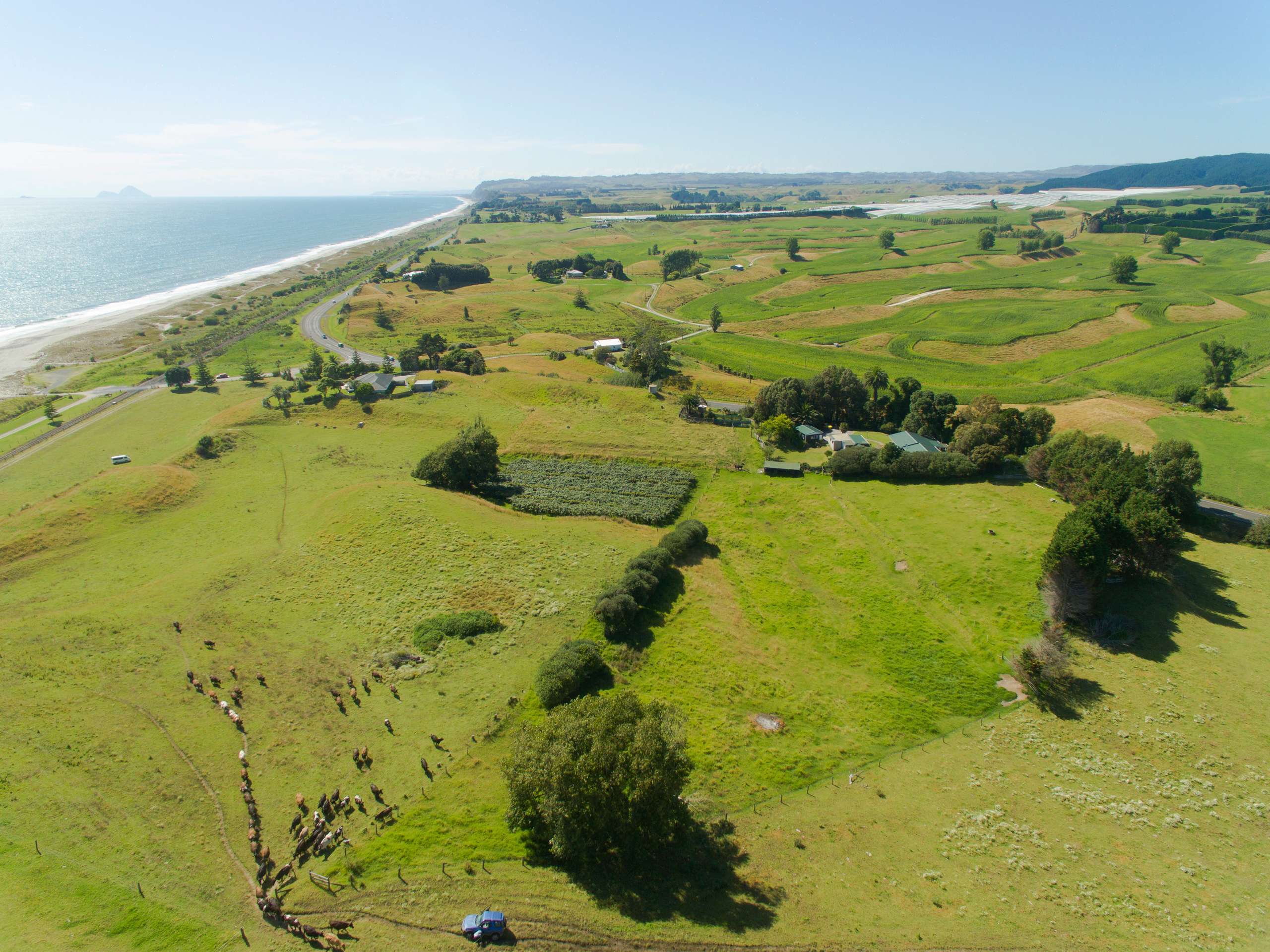 1352 State Highway 2 West, Pikowai, Whakatane District Real Estate