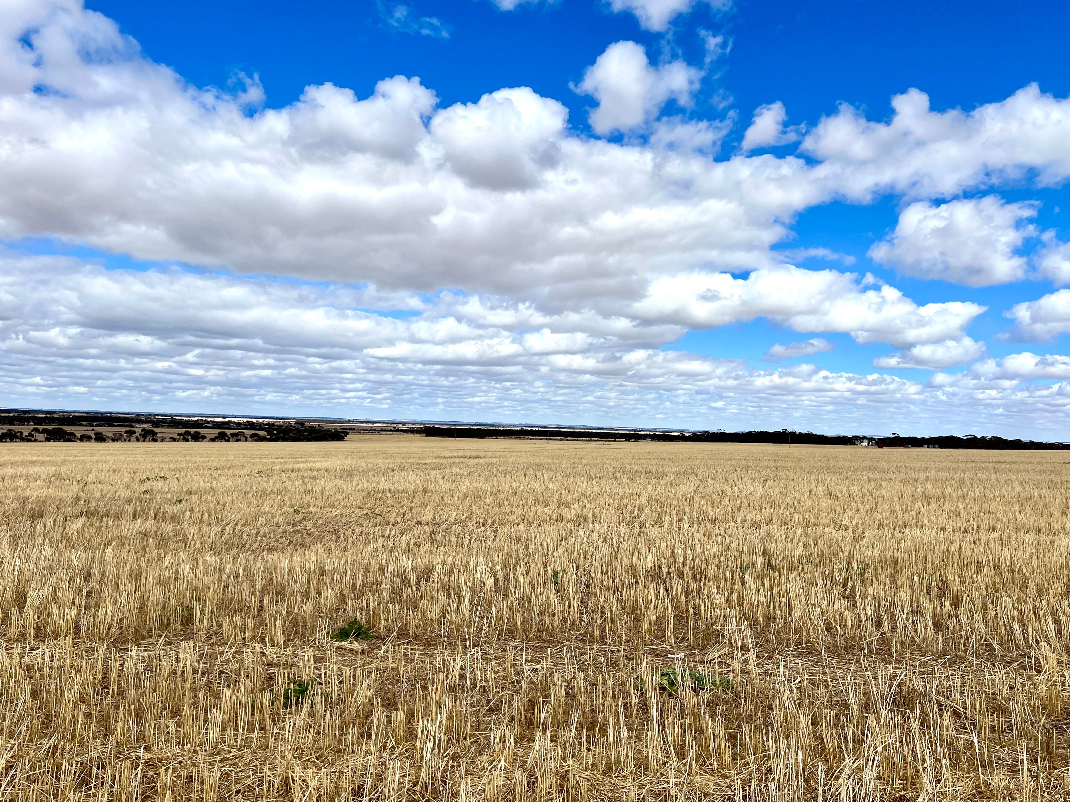 409 Dixon Road, Pingrup, WA 6343 - Sold Rural Cropping Property - Ray ...