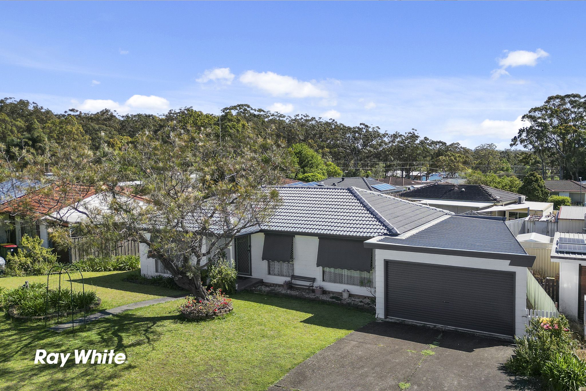 4 Tea Tree Drive, Medowie, NSW 2318 Sold House Ray White MRT