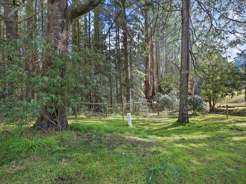 890 Yarragon-Leongatha Road — photo 6 of 11