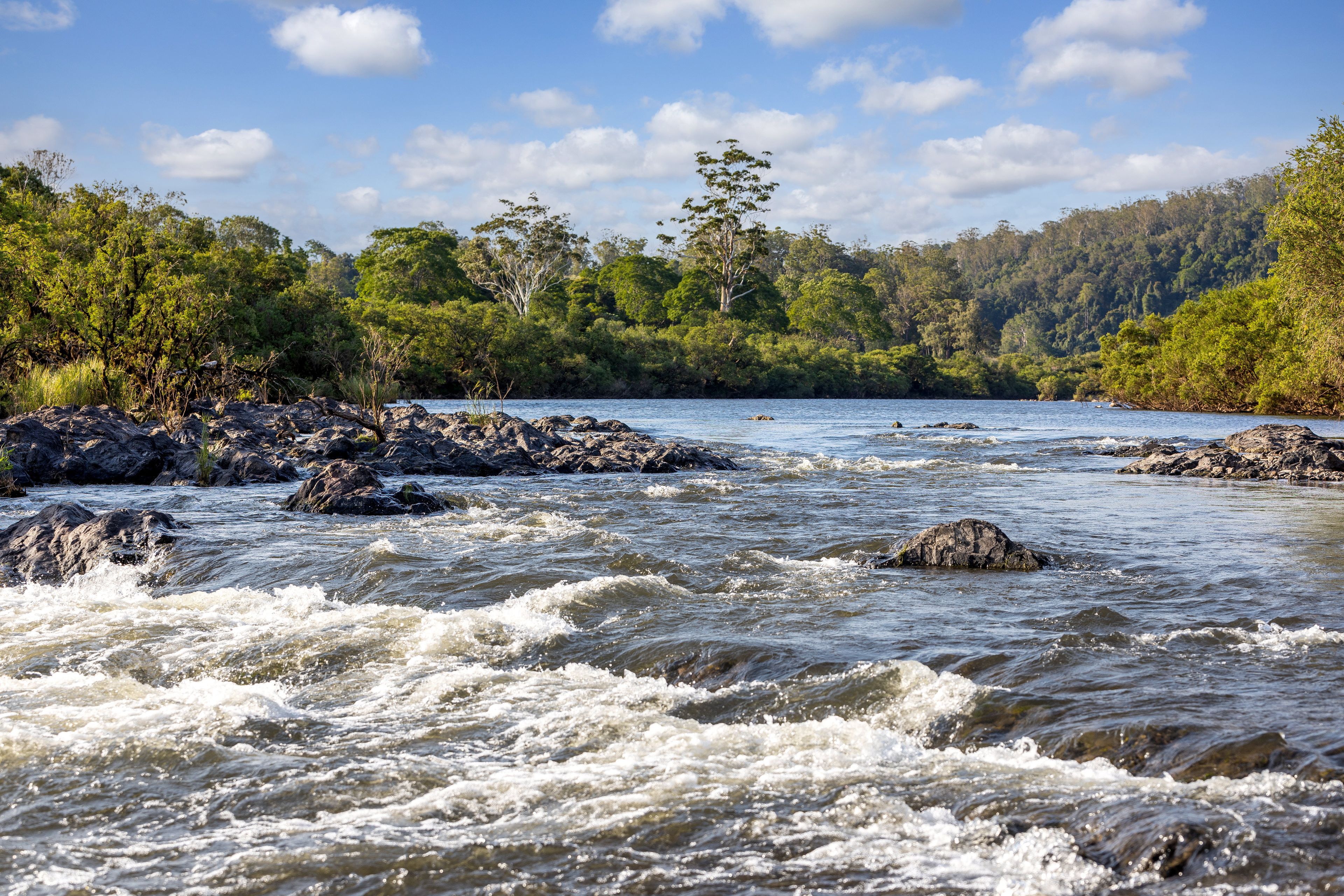 424 Norwood Lane, Mount George, NSW 2424