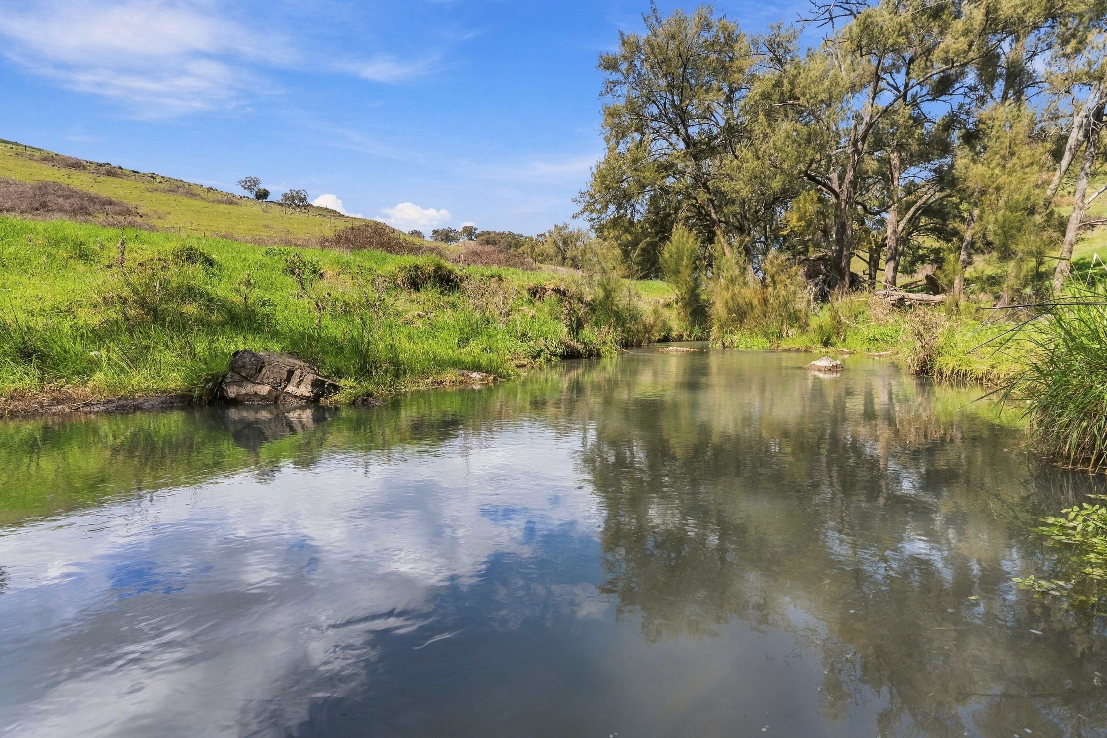 'Pemberley' 57 Bunyarra Lane — photo 14 of 18